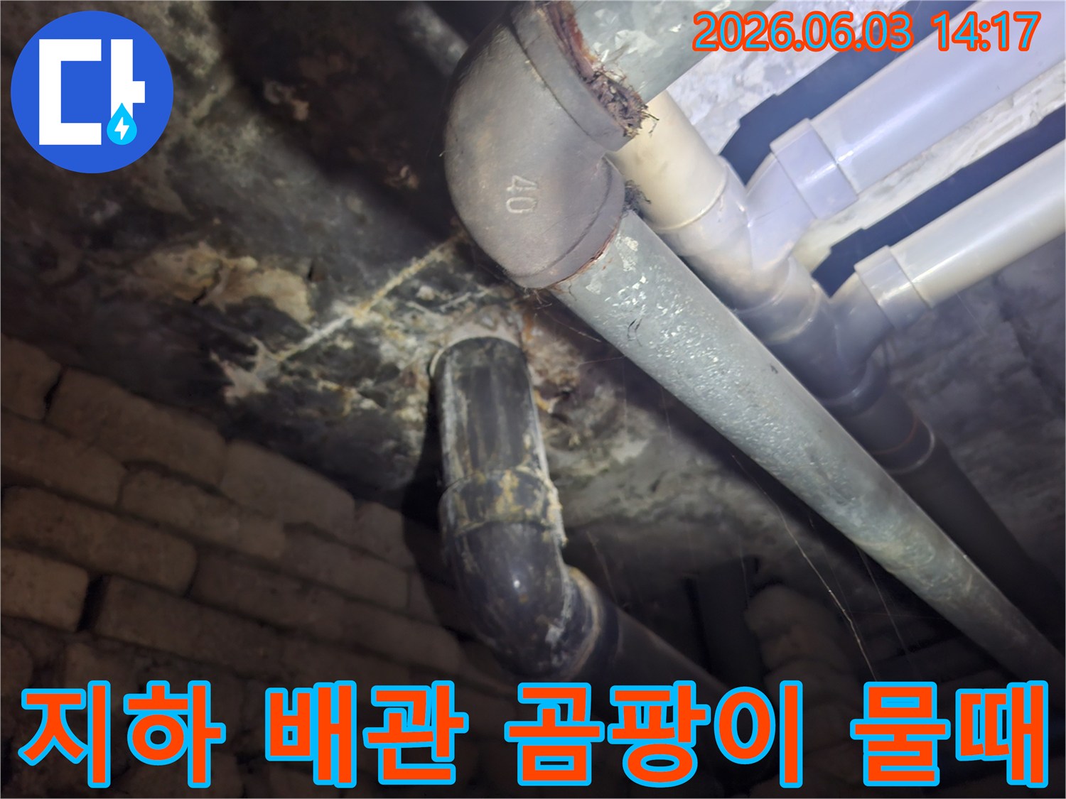 지하 배관 주변에 만연한 곰팡이와-물때를 통해-장기간 진행된 누수 문제를 확인하는 모습