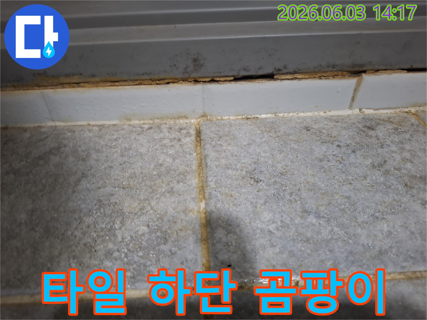 타일 하단부에 곰팡이가 피어오르고-주변 마감재가 손상된 누수 현장을 담은 사진입니다