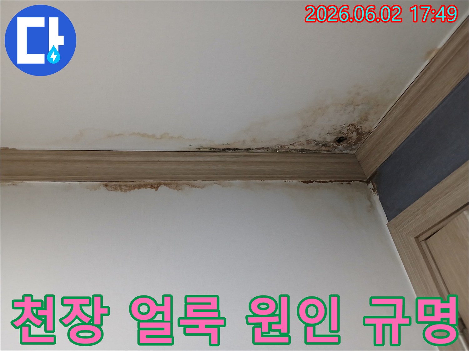 빌라 작은방 천장과 벽면의-누수로 인한 짙은 얼룩과-곰팡이 발생 현장