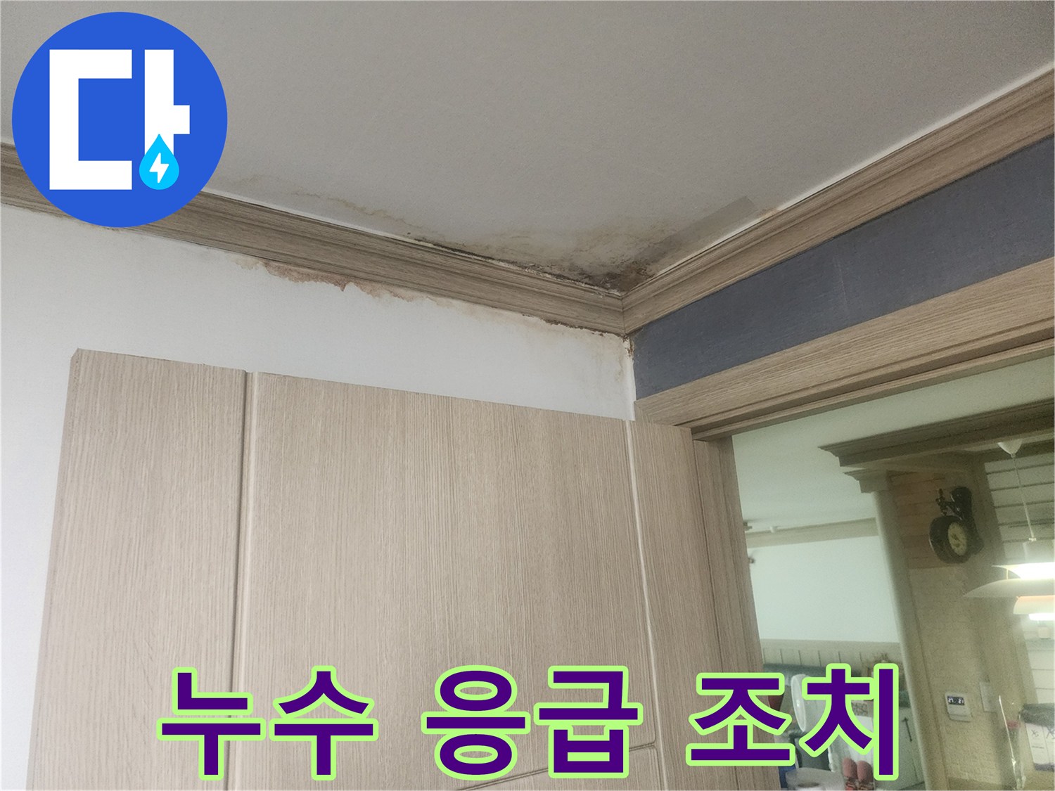 천장-모서리에-발생한-심각한-누수-얼룩과-곰팡이는-빠른-응급-조치가-필요한-긴급-상황입니다.