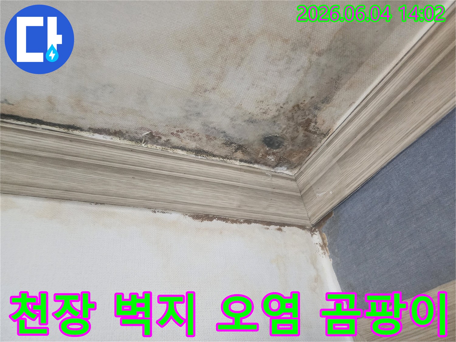 천장과 벽의 경계면에-누수로 인해 벽지가 오염되고-검은 곰팡이가 번져있는-피해 현장의 클로즈업 이미지