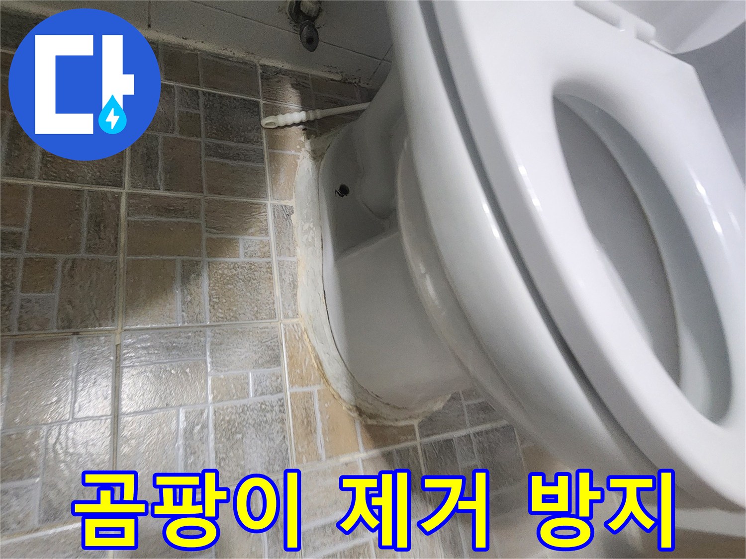 평택 아파트 욕실 변기 주변에 발생한 곰팡이를-제거하고 방지하는-공사 전의 모습입니다.