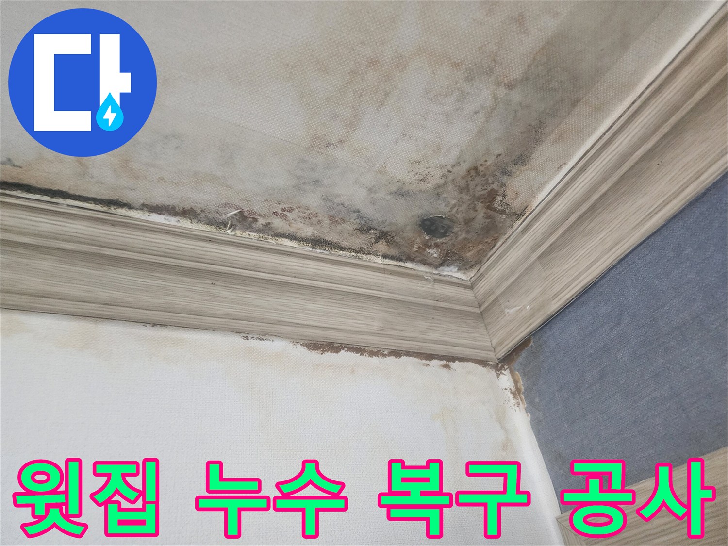 평택 아파트에서 윗집 누수로-인해 천장 벽지가 젖고-곰팡이가 발생한 현장에서-누수탐지 후-복구 공사를 진행하는 모습입니다.