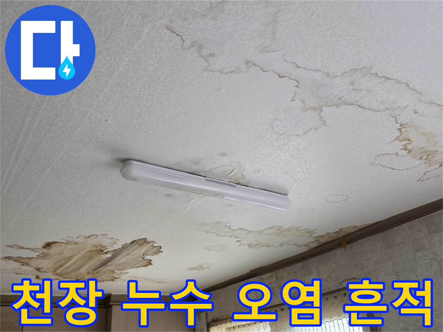 물기에 젖어-갈색으로 변한 천장 벽지