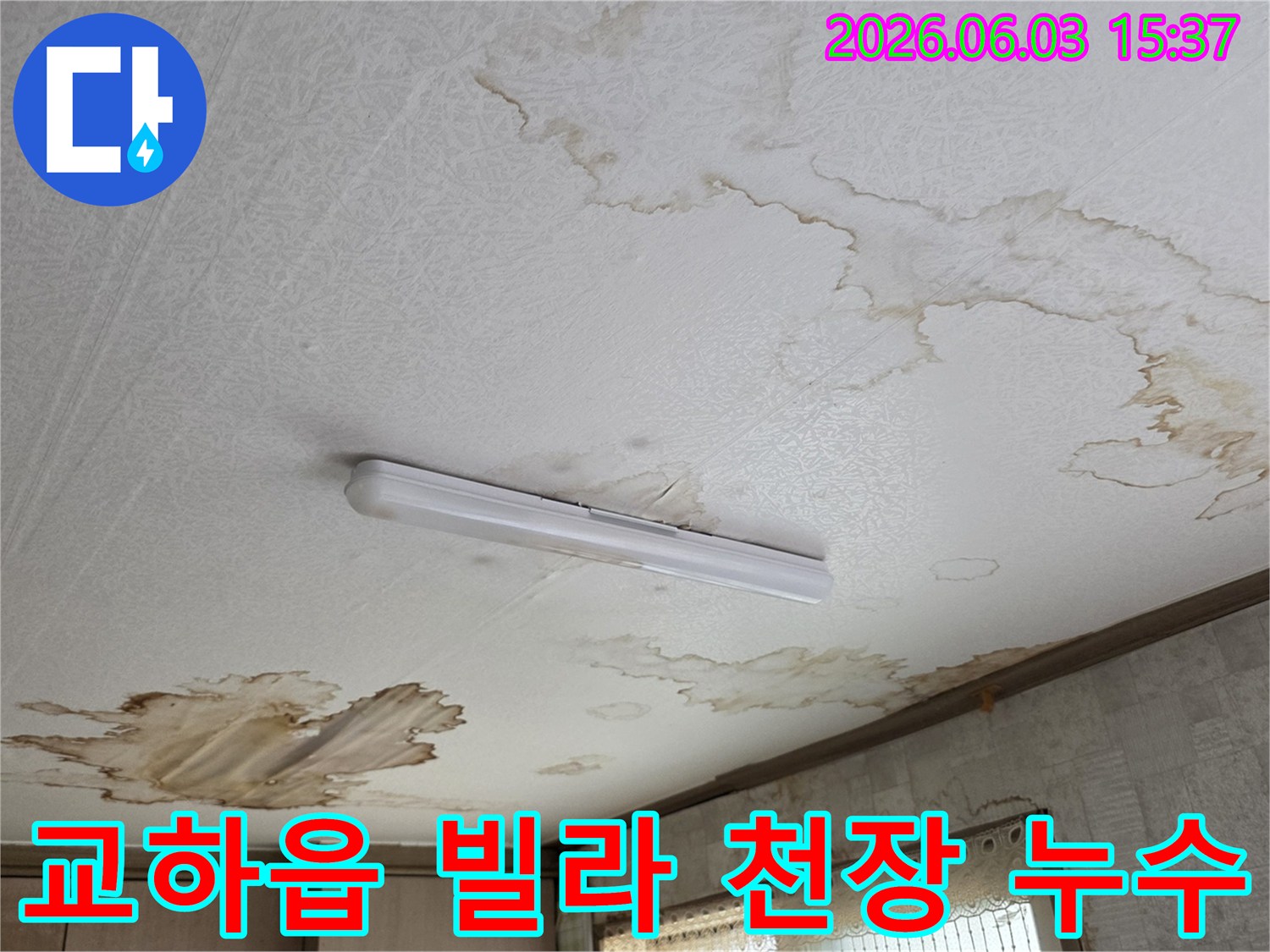 파주 교하읍 빌라-천장에 물이 새어 얼룩진-누수 피해 현장 사진