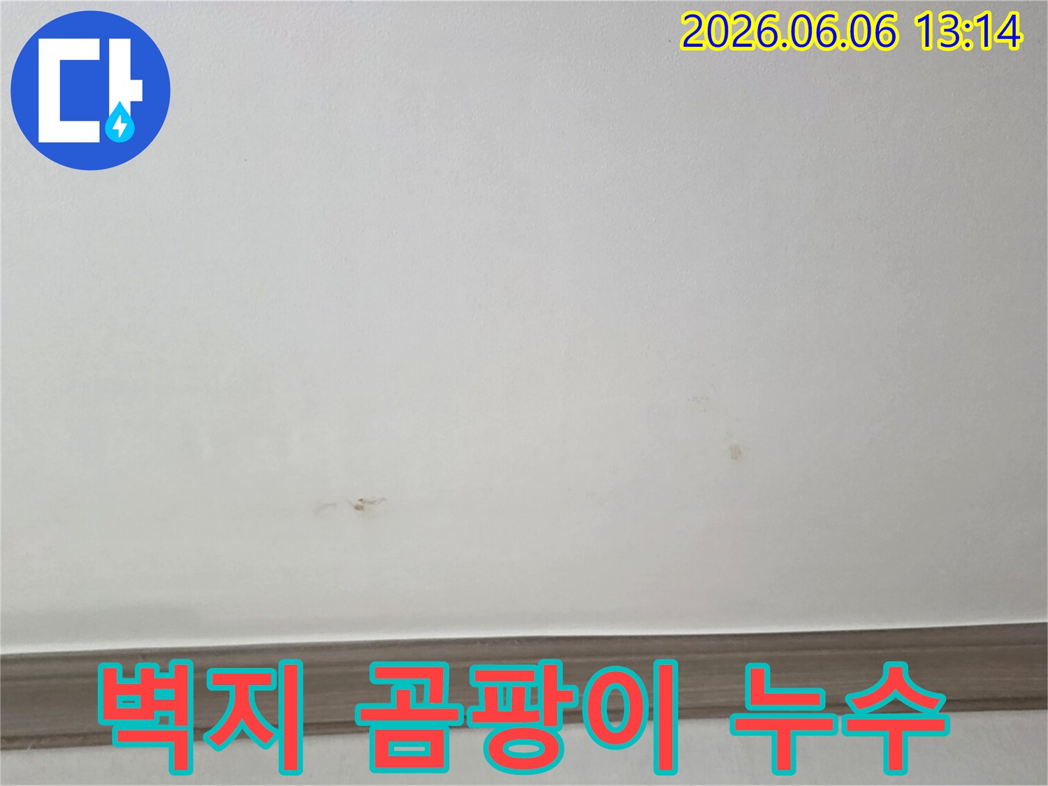 벽지에-발생한-곰팡이가-누수로-인한-습기-문제를-명확히-보여줍니다