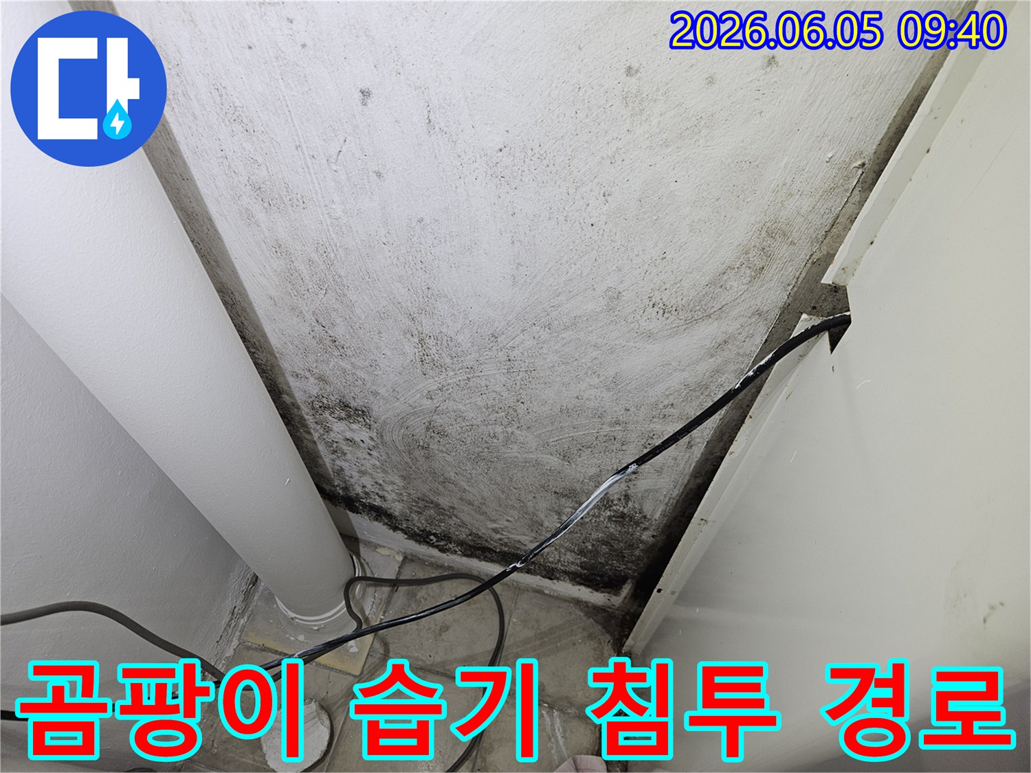 누수-진단-전문가가-벽면-곰팡이를-통해-습기-침투-경로를-파악하고-있는-현장-사진