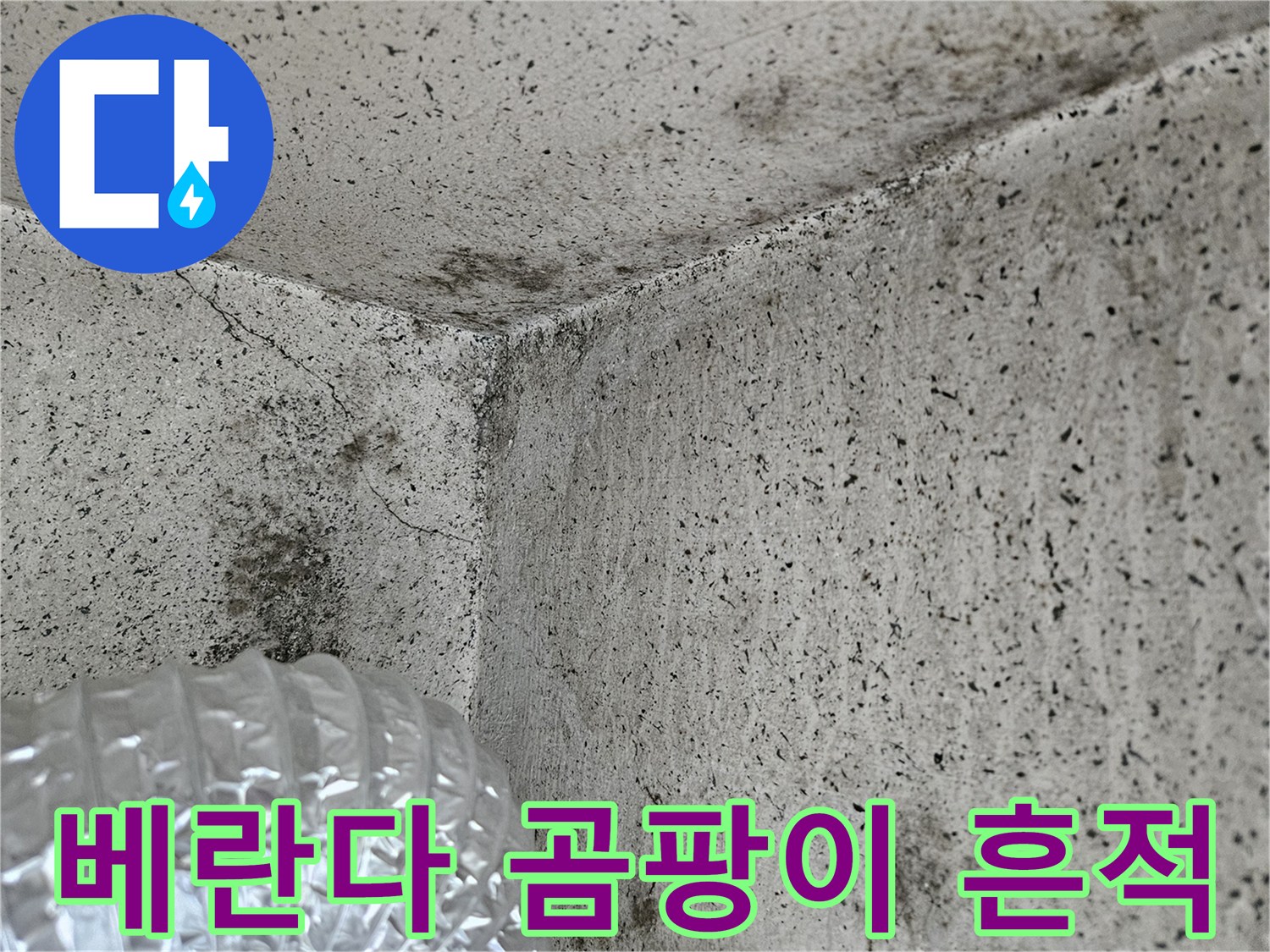 벽면 모서리에 발생한 곰팡이와 습기 얼룩