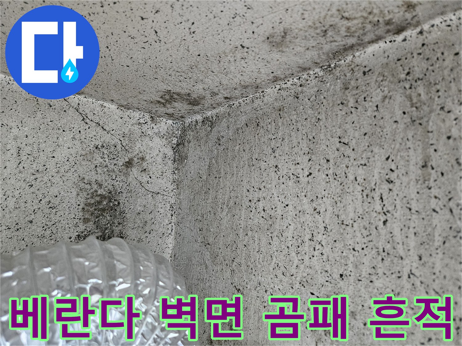 양주 아파트 베란다 벽면에 발생한 곰팡이와 습기 흔적