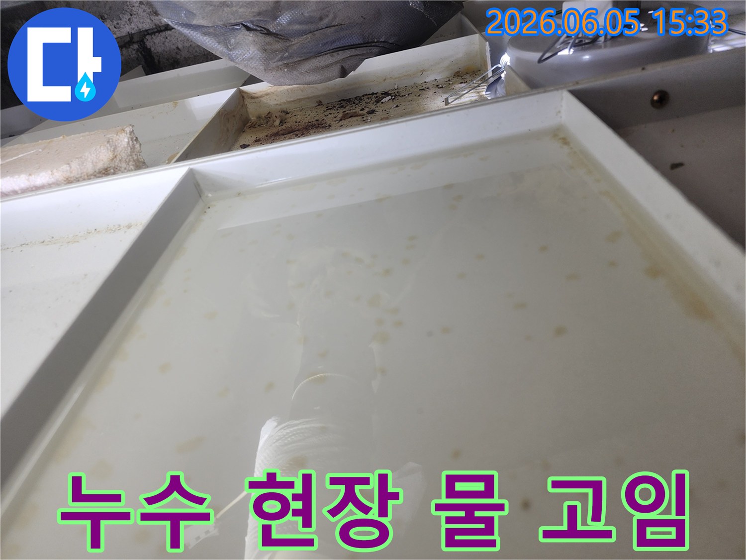 누수 발생으로 인해 물이 고인 현장-정밀 탐지를 위한 초기 단계