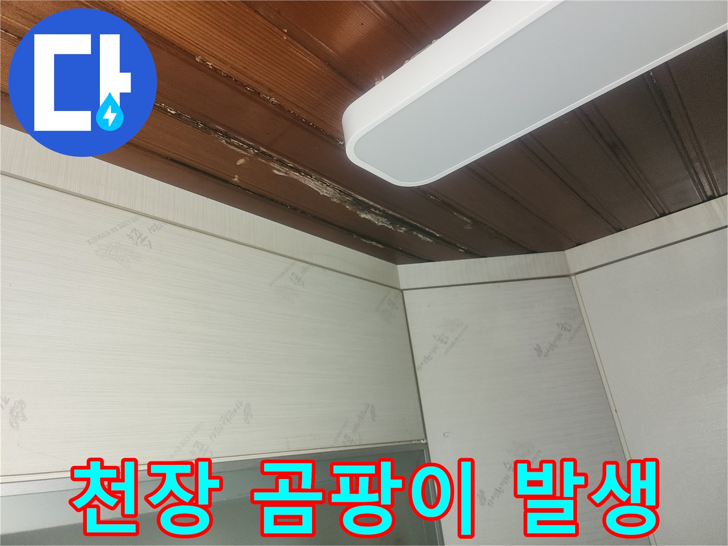 윗집에서-새는-물로-인해-천장에-생긴-물자국과-곰팡이-징후