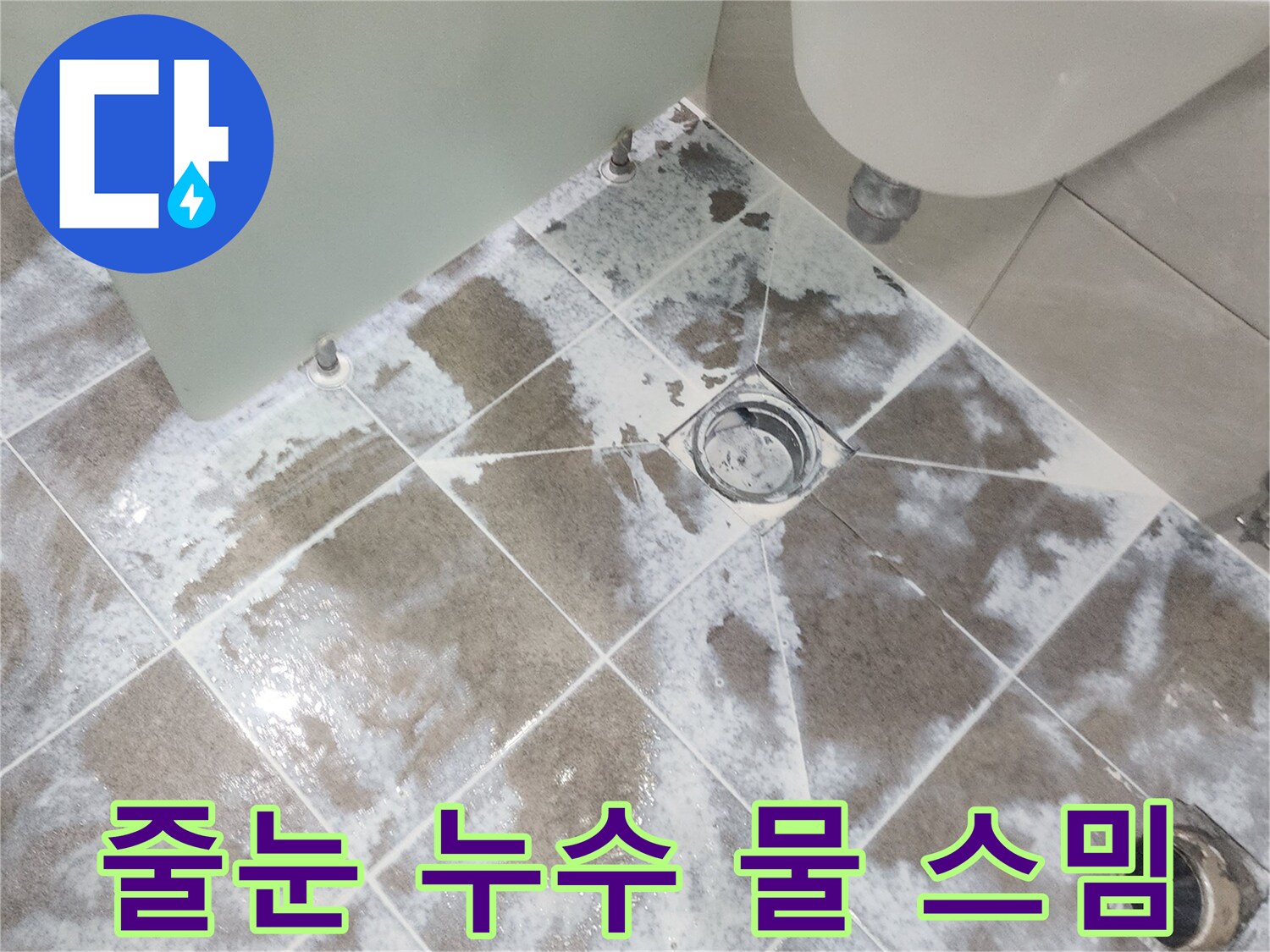 고양시 아파트-욕실 바닥 타일-줄눈 사이로 물이 스며들어-변색된 모습을 보여주는-누수 현장 진단 사진