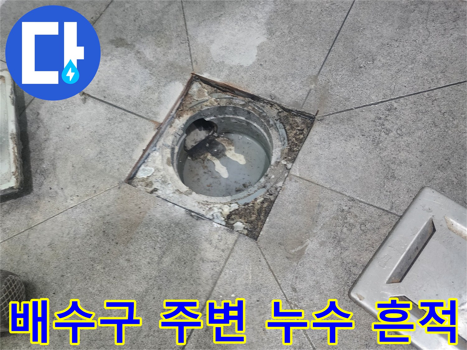 누수로 인해-변색된-배수구 주변-타일과-오염된-모습을-담은-현장 사진
