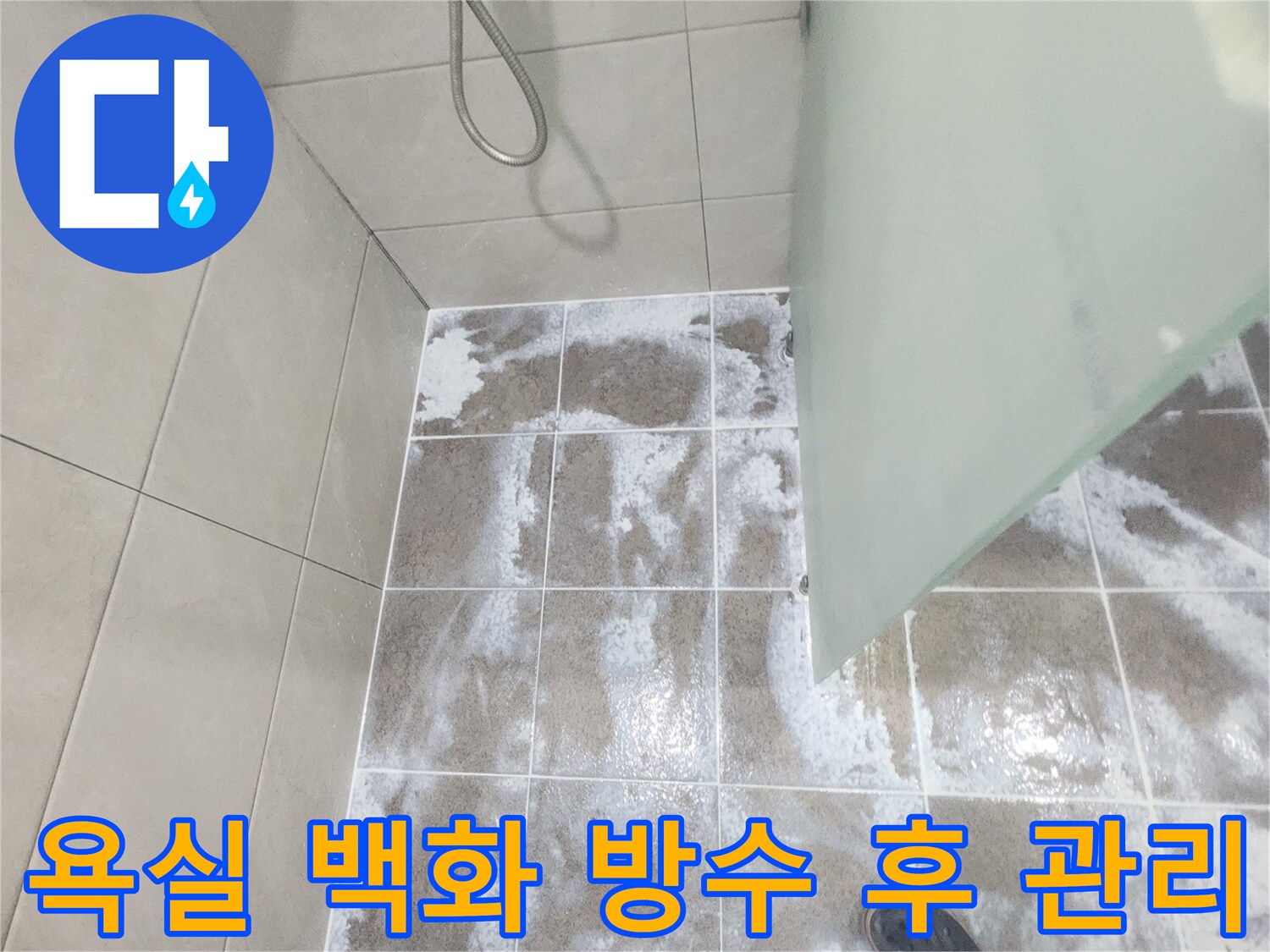 욕실 바닥 타일 줄눈에 하얗게 침착된 백화 현상으로-물의 지속적인 침투를 나타내며 침투 방수 시공 후 관리가 중요한 모습