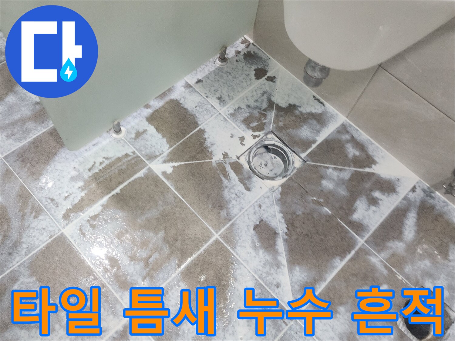 일산동구 아파트-욕실 바닥 타일-줄눈 사이로 스며든-물기로 인한 변색과-하얀 침전물을 보여주는-누수 현장 사진
