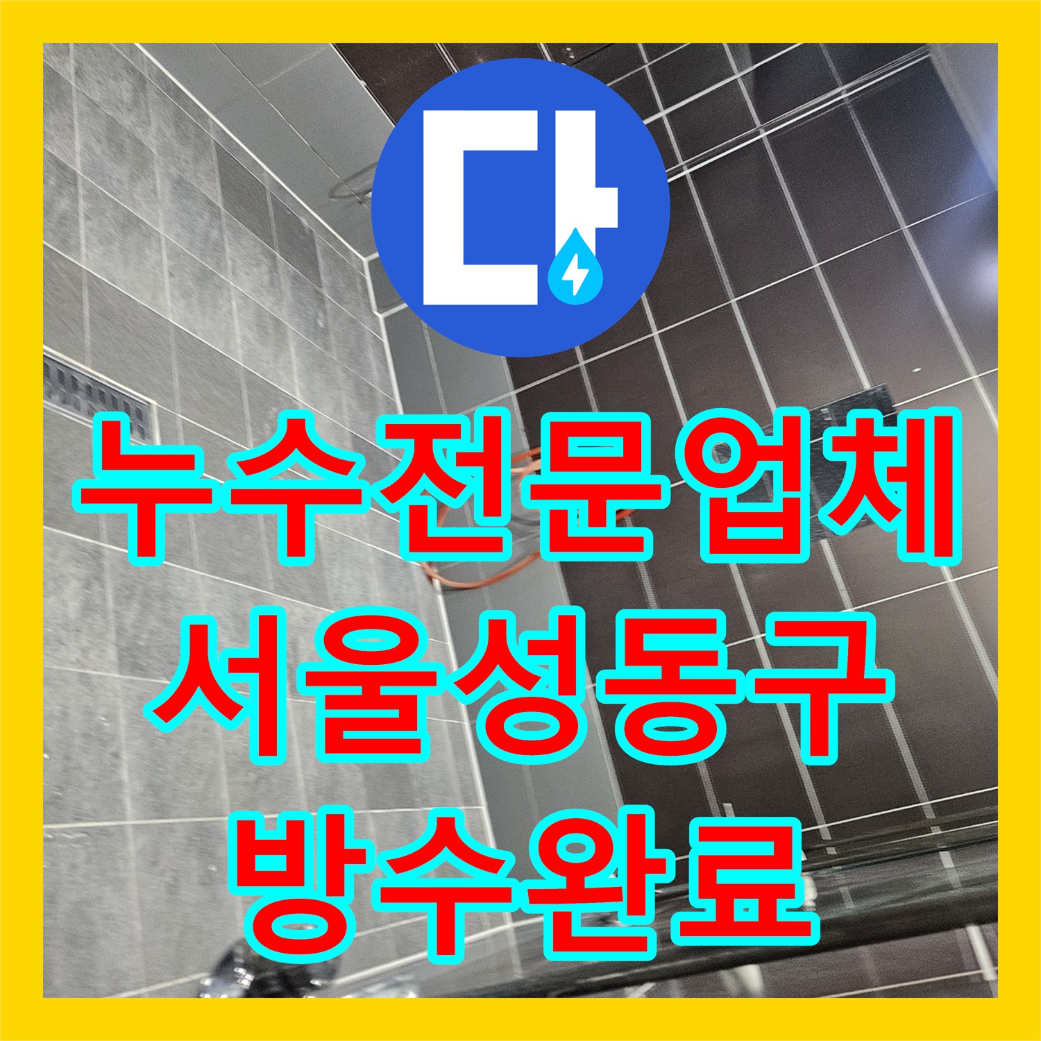 누수전문업체 타 업체가 실패한 여성 탈의실 샤워실 역류 문제를 해결한 서울 성동구