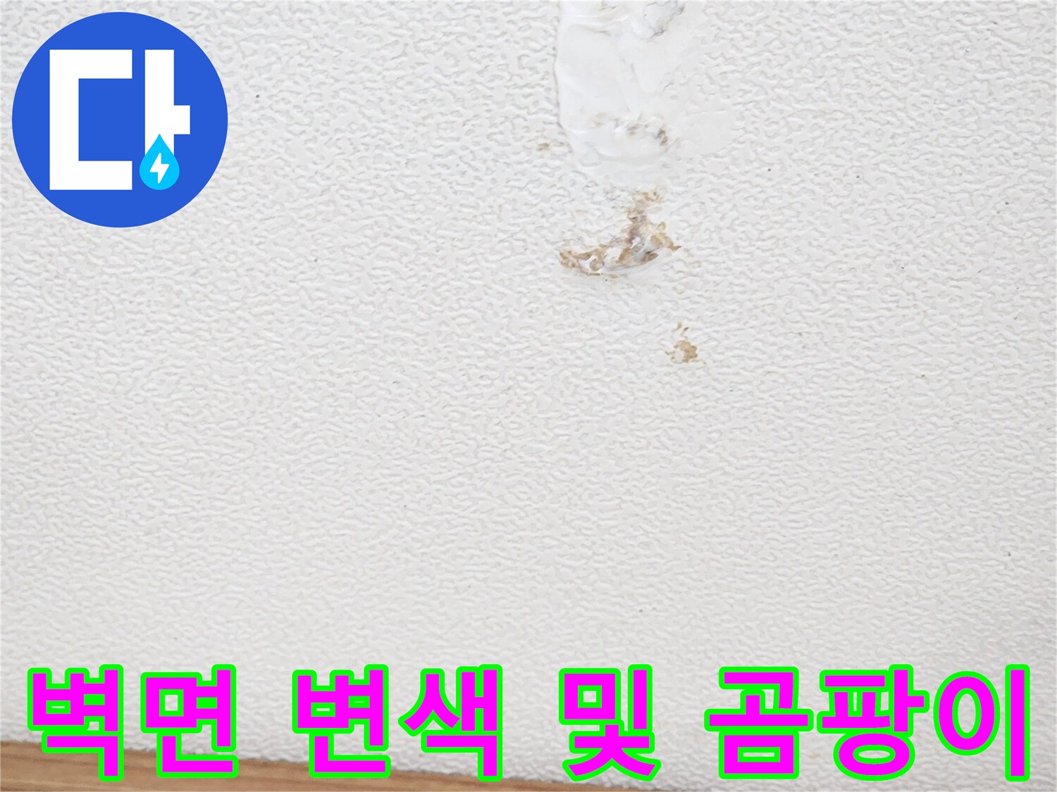 상가-벽면의-변색과-곰팡이-흔적을-정밀하게-조사하는-모습