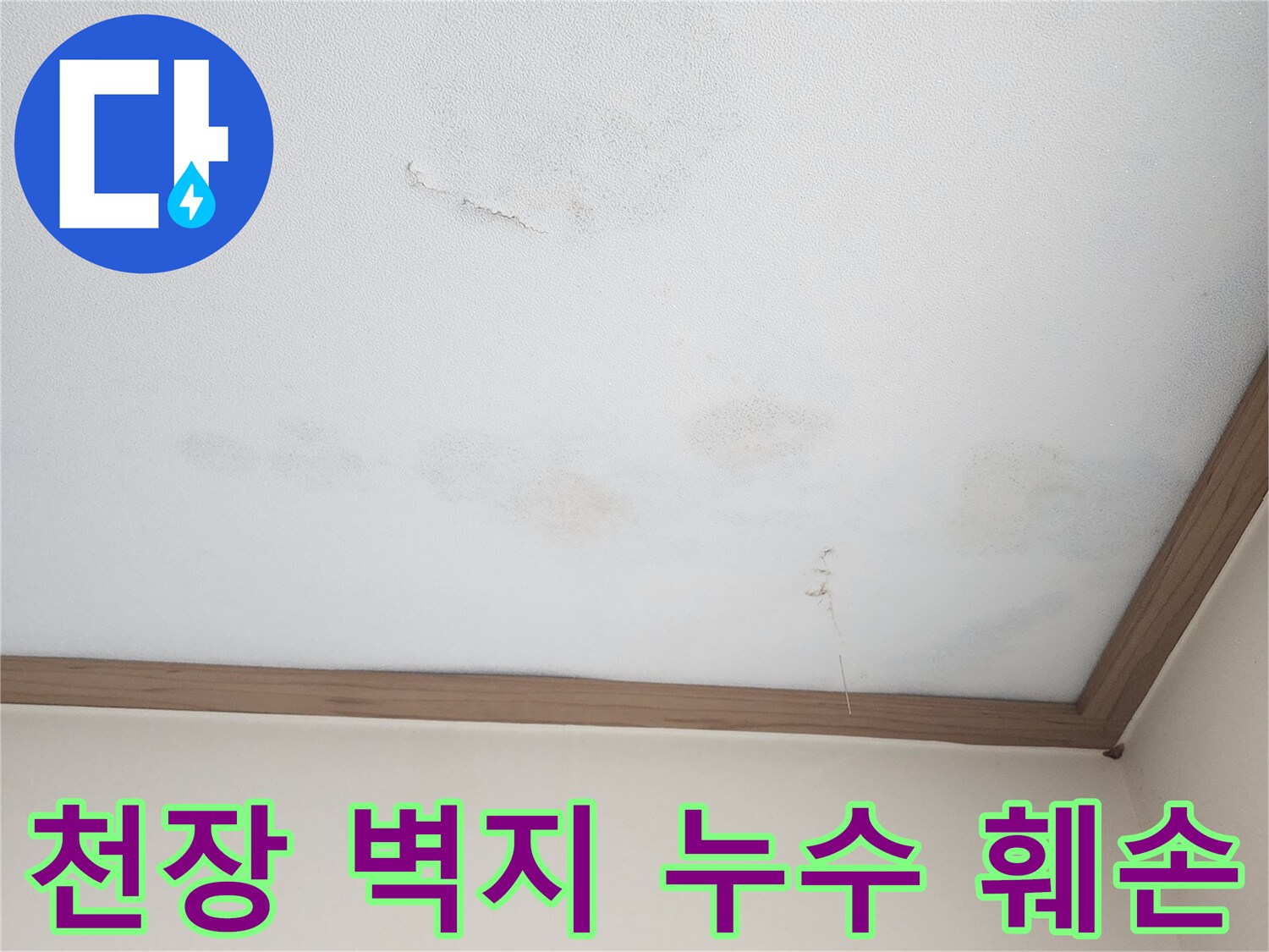 아랫집 천장 벽지에 발생한 심각한 누수 훼손-곰팡이와 함께 벽지가 들뜨고 손상된 모습으로-신속한 누수 공사와 복구가 필요한 상황입니다.