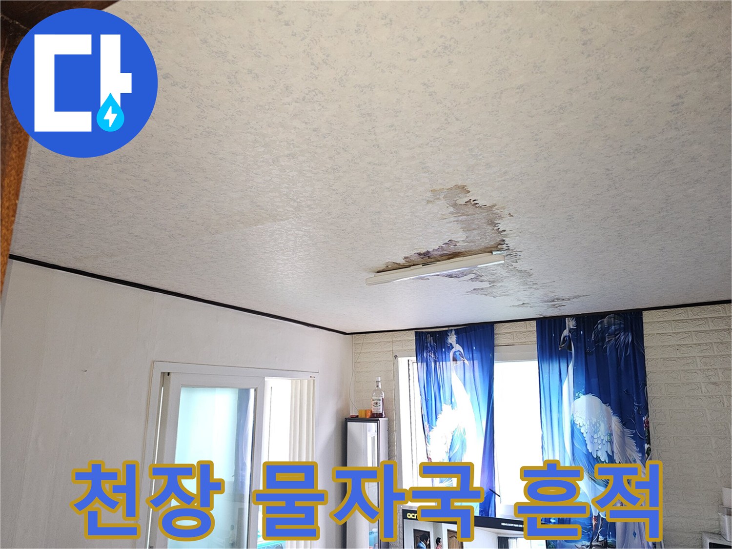 금천구 아파트 천장 벽지에 생긴 누수 얼룩과 습기 상태
