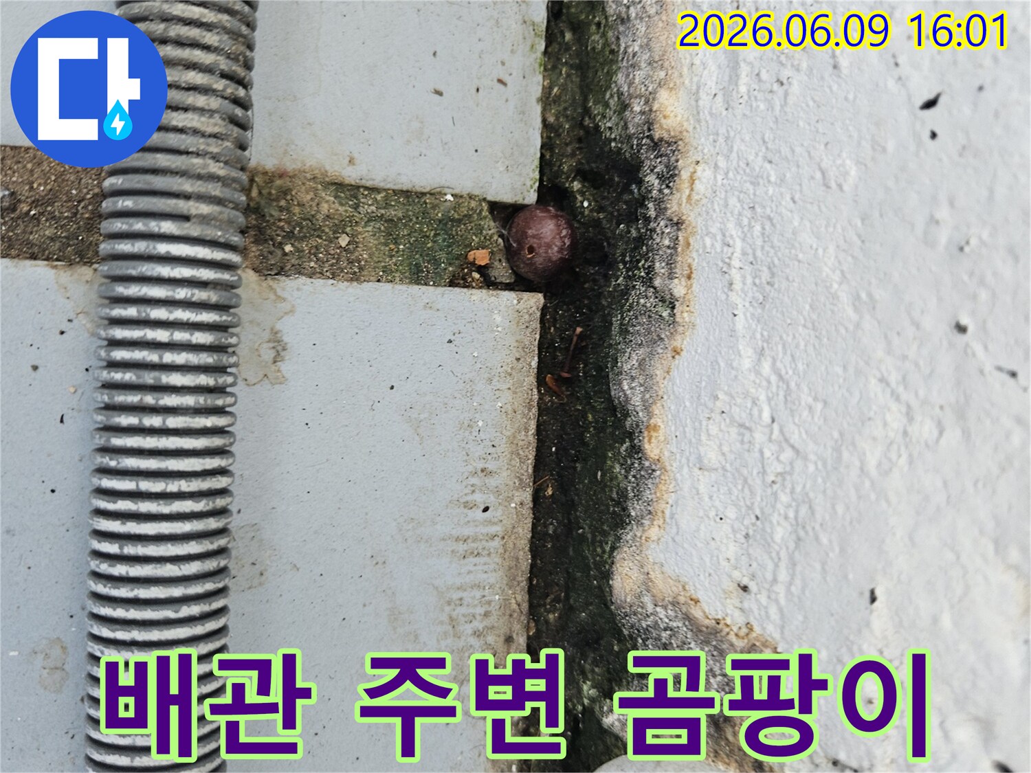 낡은 주름 배관 주변에 발생한 짙은 곰팡이와-벽면의 오염-그리고 균열 틈새의 이물질을 보여주는 누수 현장 이미지