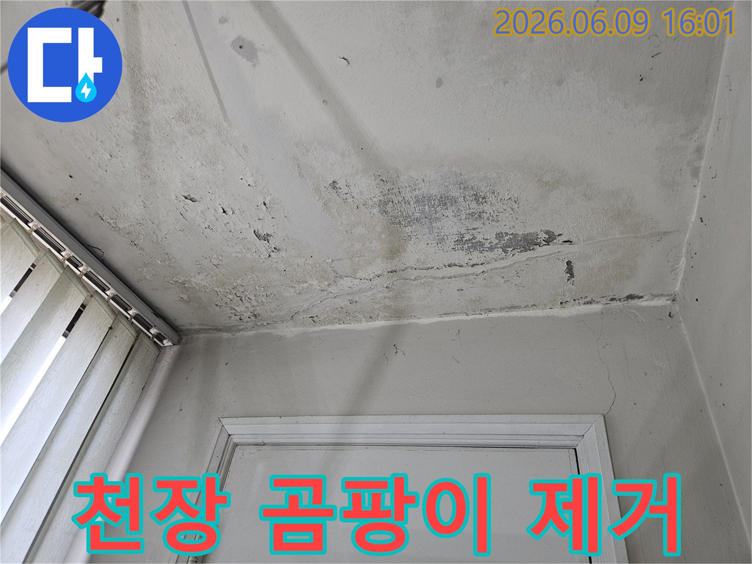 누수로-인해-천장-벽지에-피어난-곰팡이와-변색-현상을-보여주는-사진으로-제거-및-보수-전-상황