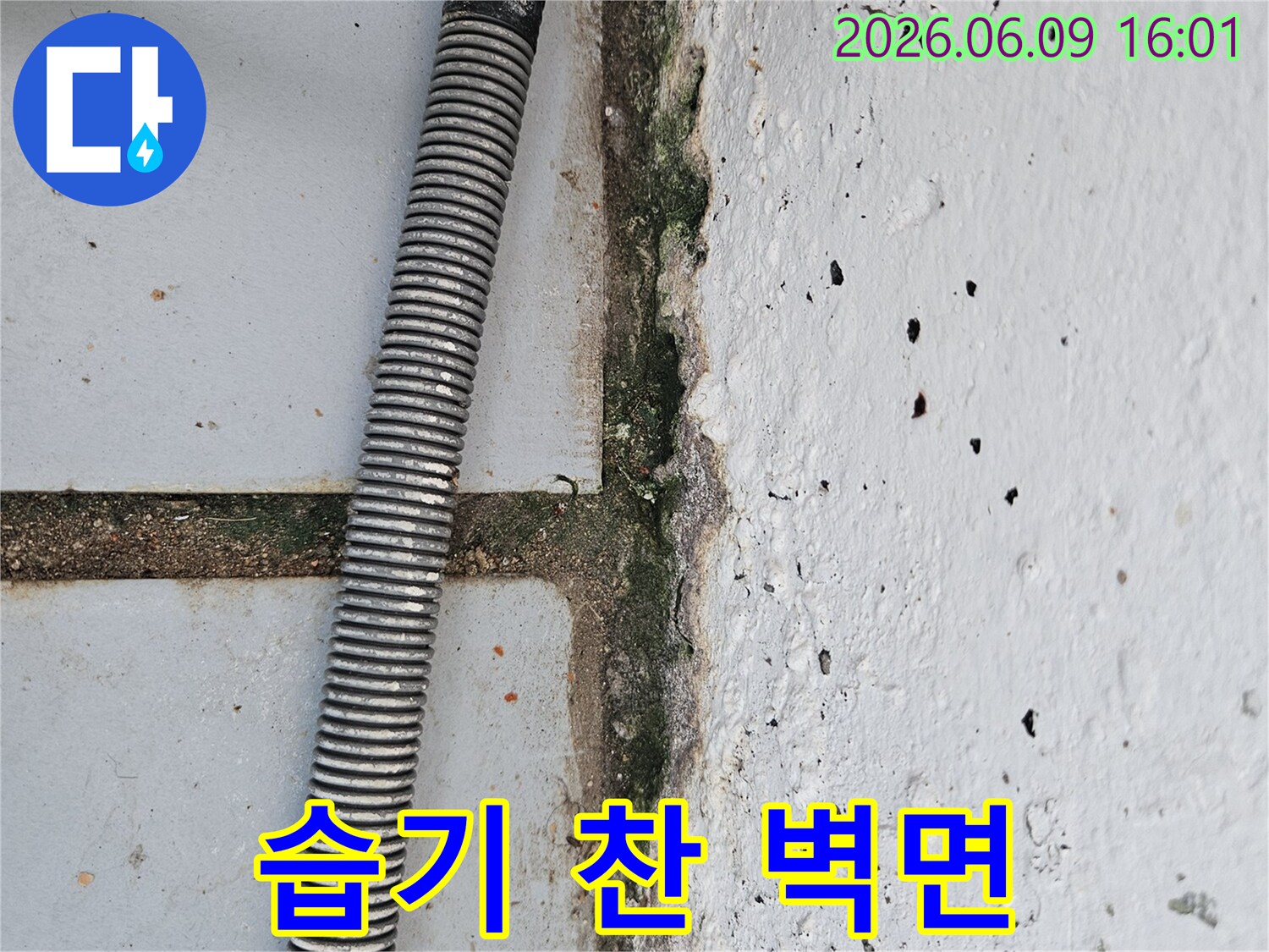 벽면과 바닥의 경계에서 발견된 곰팡이와- 누수 의심 흔적- 그리고 배관의 모습을 담은 이미지입니다