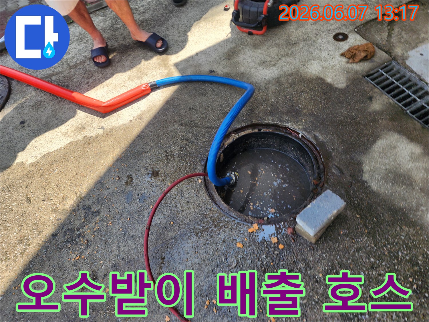 오수받이 입구에 설치된 파란색 배수용 호스의 모습입니다.