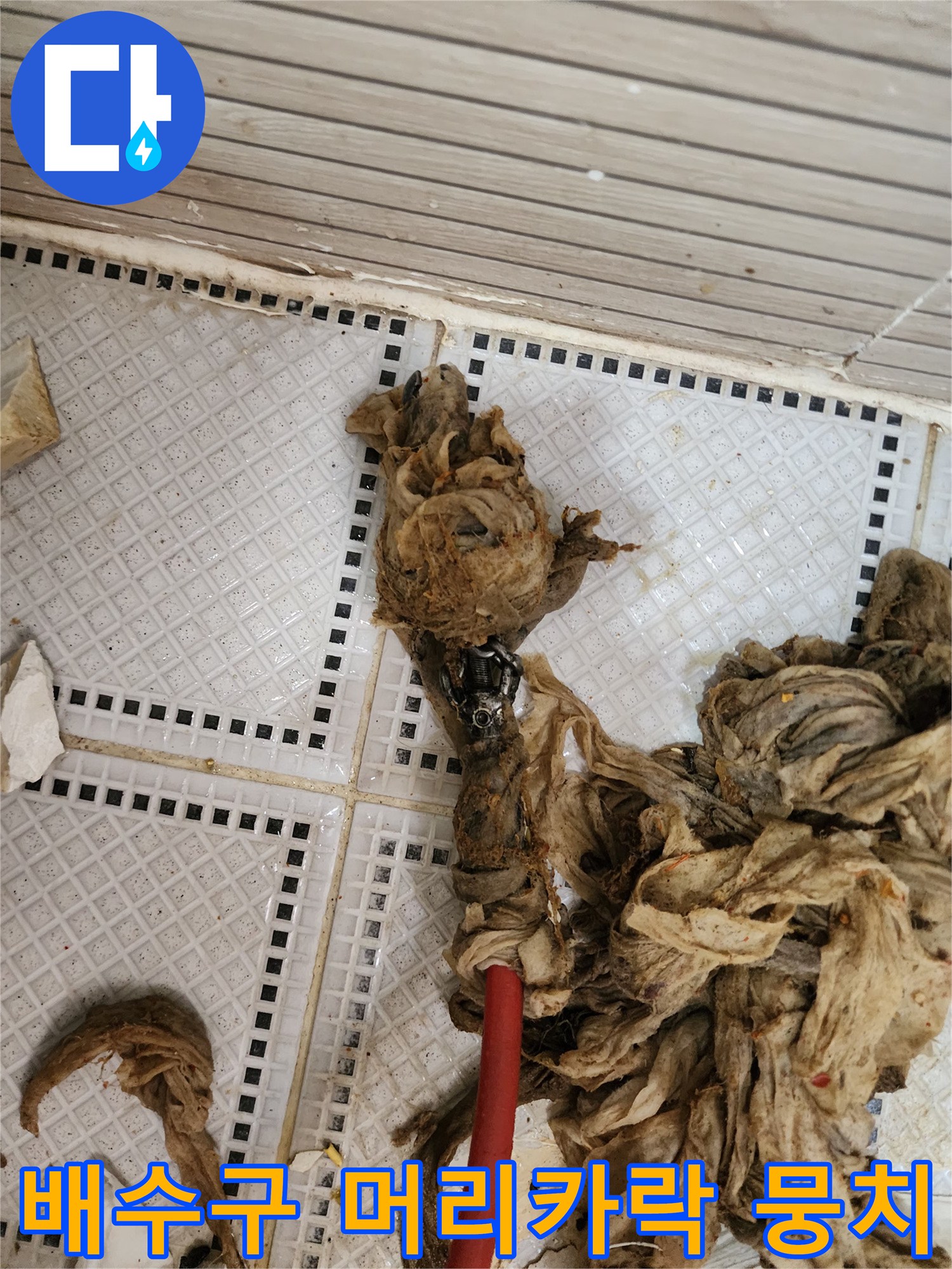 화장실 배수구에서 끌어올린 거대한 머리카락과 섬유 찌꺼기 덩어리