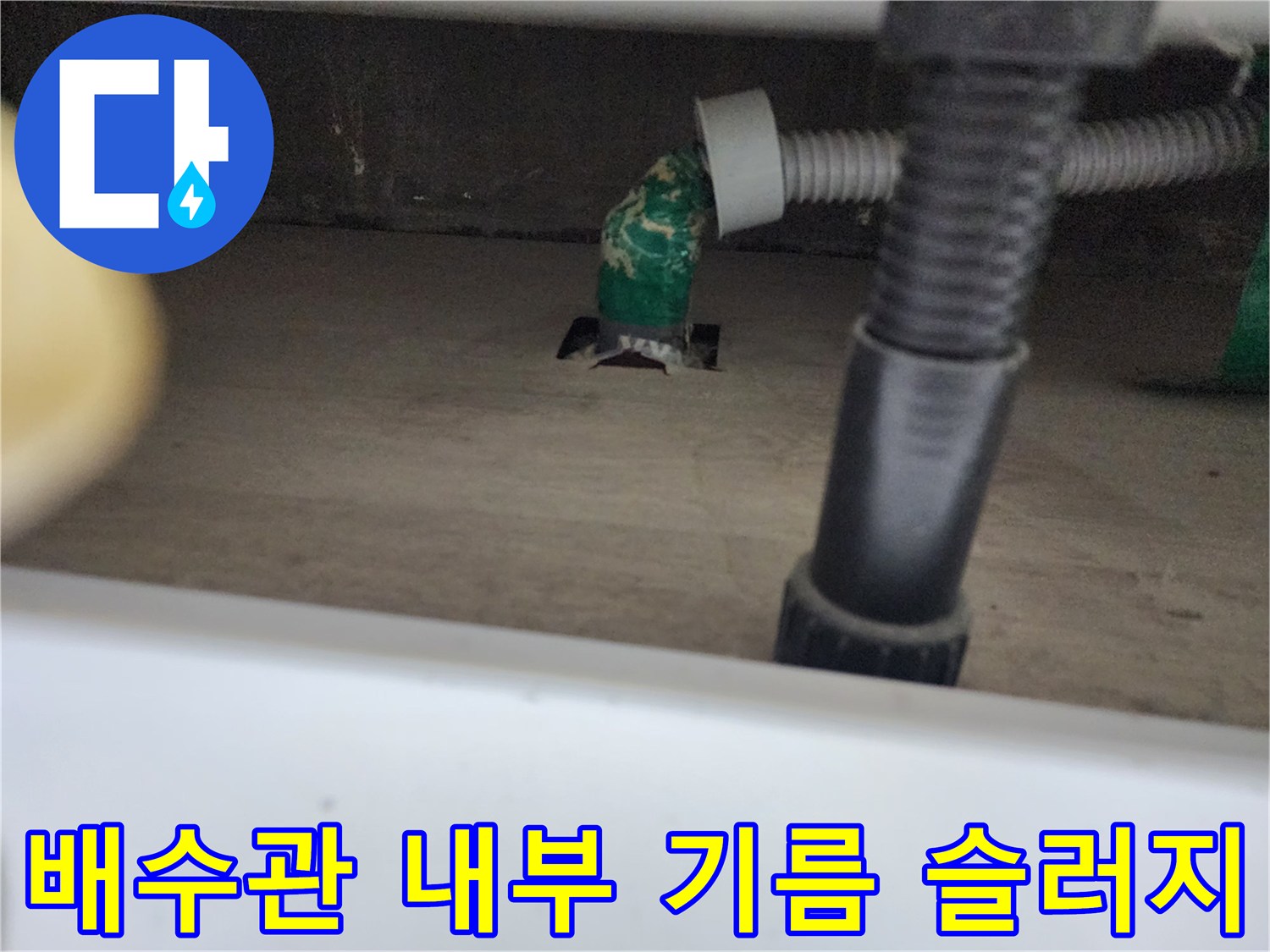하수구 배관 입구에 고여있는 녹색 기름 덩어리 근접 촬영