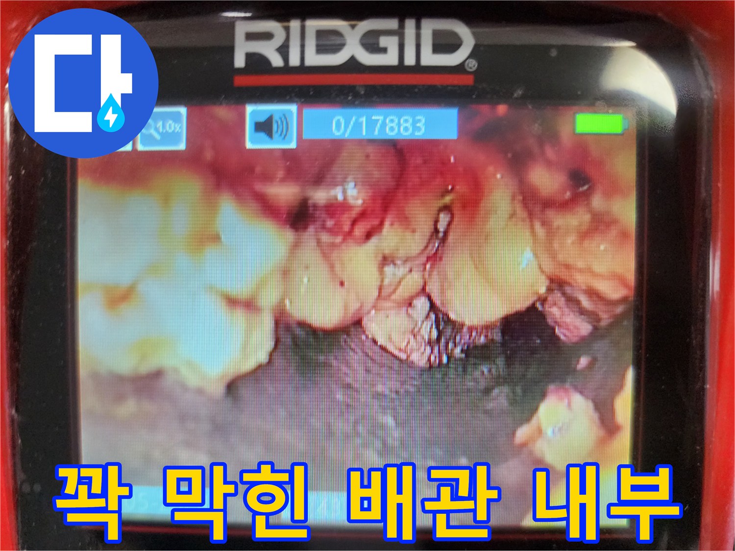 기름 덩어리가 가득 차 있는 싱크대 하수관 내부 모습
