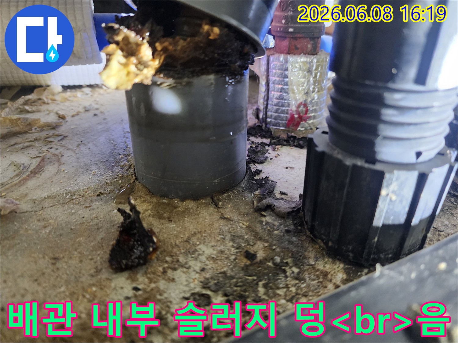 도봉구 창동 현장의 싱크대 주름관 내부에서 발견된 거대한 슬러지 덩어리