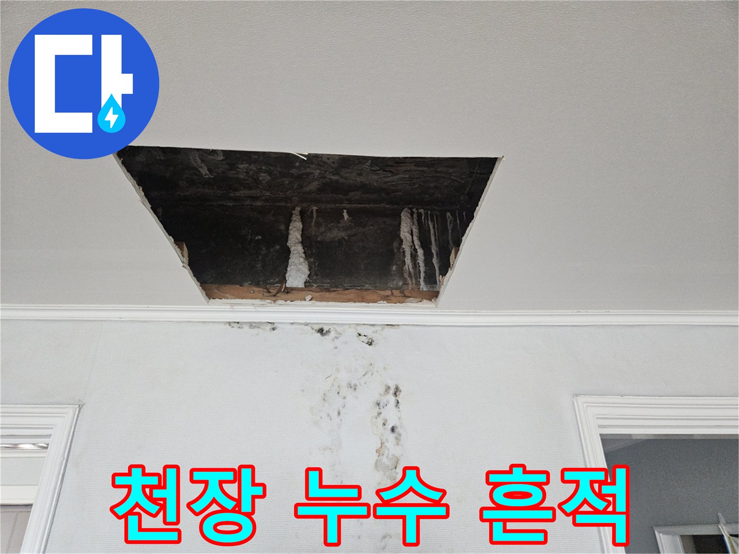 안방-천장-점검구-내부-석회-고드름-및-벽면-오염-상태