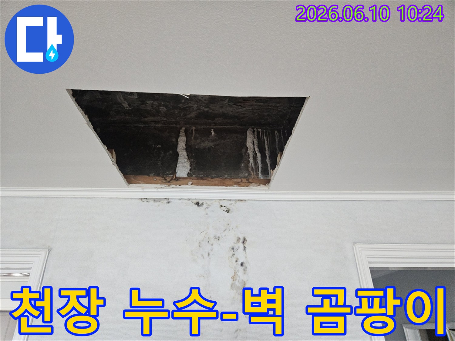 천장-석고보드-손상과-그-아래-벽면으로-번진-심각한-물자국-및-곰팡이-피해를-보여줍니다