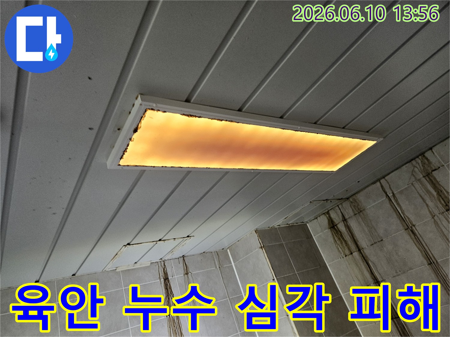 천장-조명-주변과-벽면에-육안으로-확인되는-심각한-누수-오염은-즉각적인-전문가의-개입이-필요함을-보여줍니다
