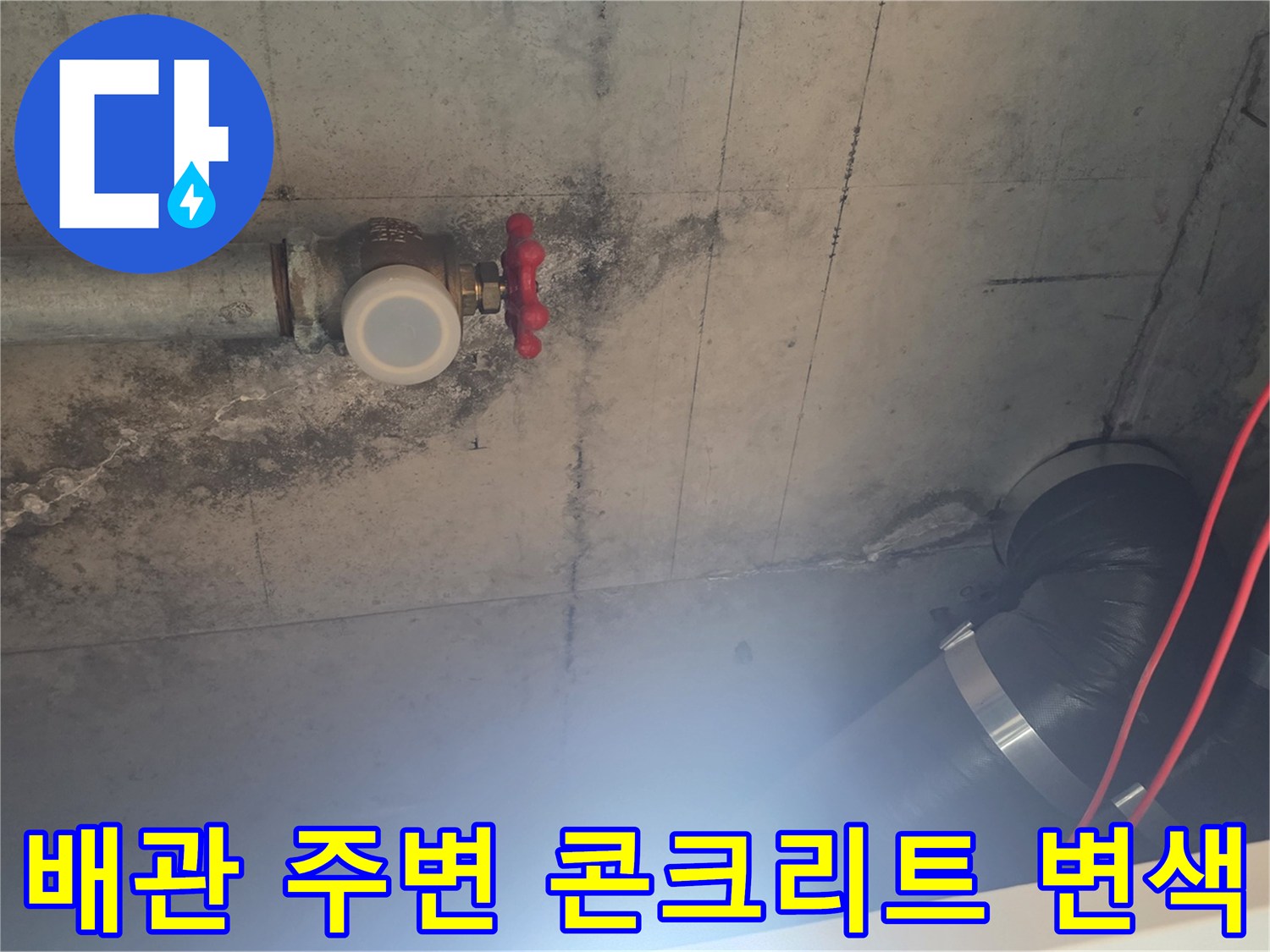 물기가-스며든-천장-배관-및-콘크리트-면