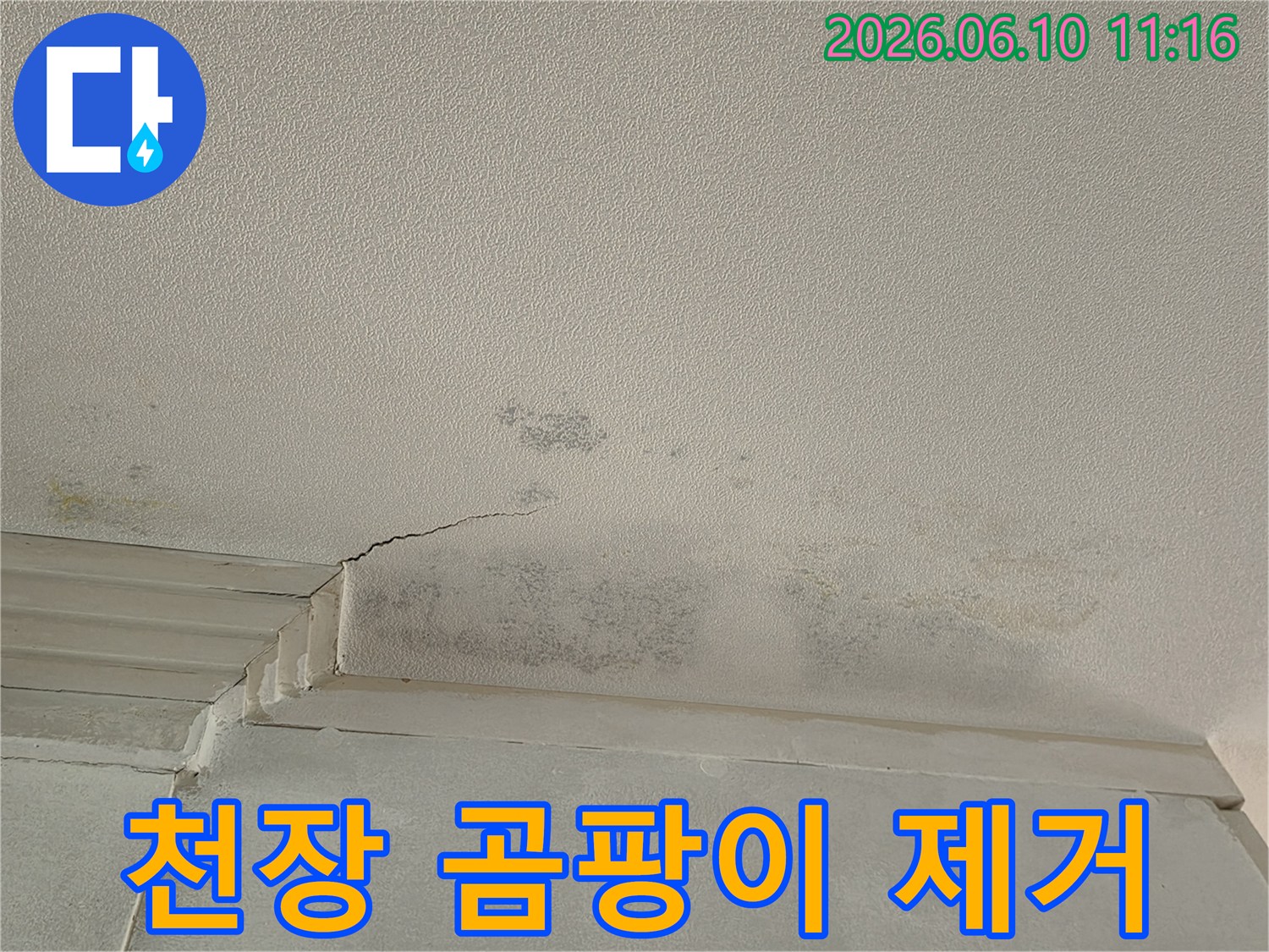 천장 모서리에 생긴-누수 흔적과-광범위하게 퍼진-검은 곰팡이를 보여주는 사진입니다.