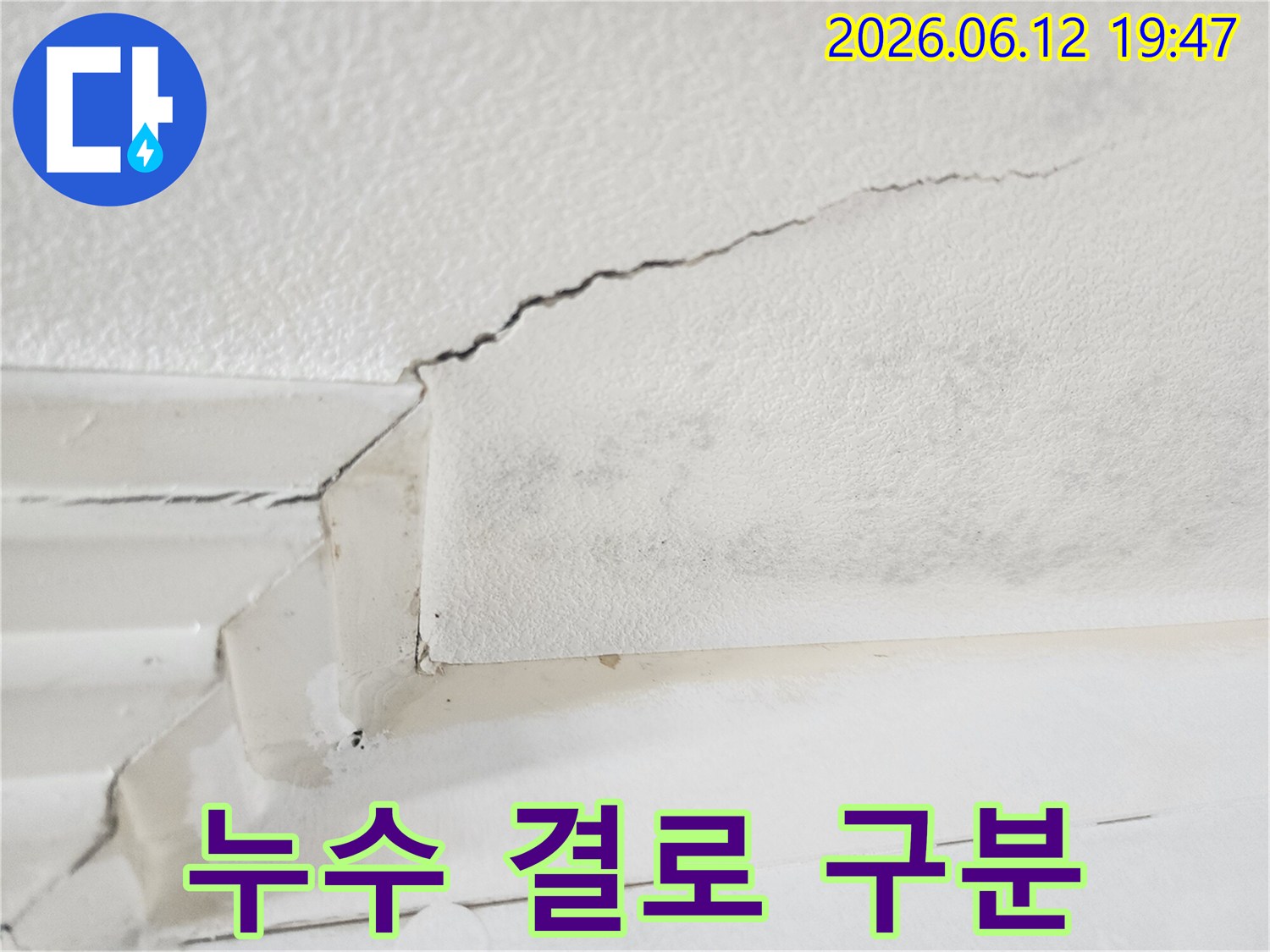천장에 나타난-물 흔적을 통해-누수와 결로 현상을-구분하기 위한-전문가 진단이 필요한-상황의 이미지입니다