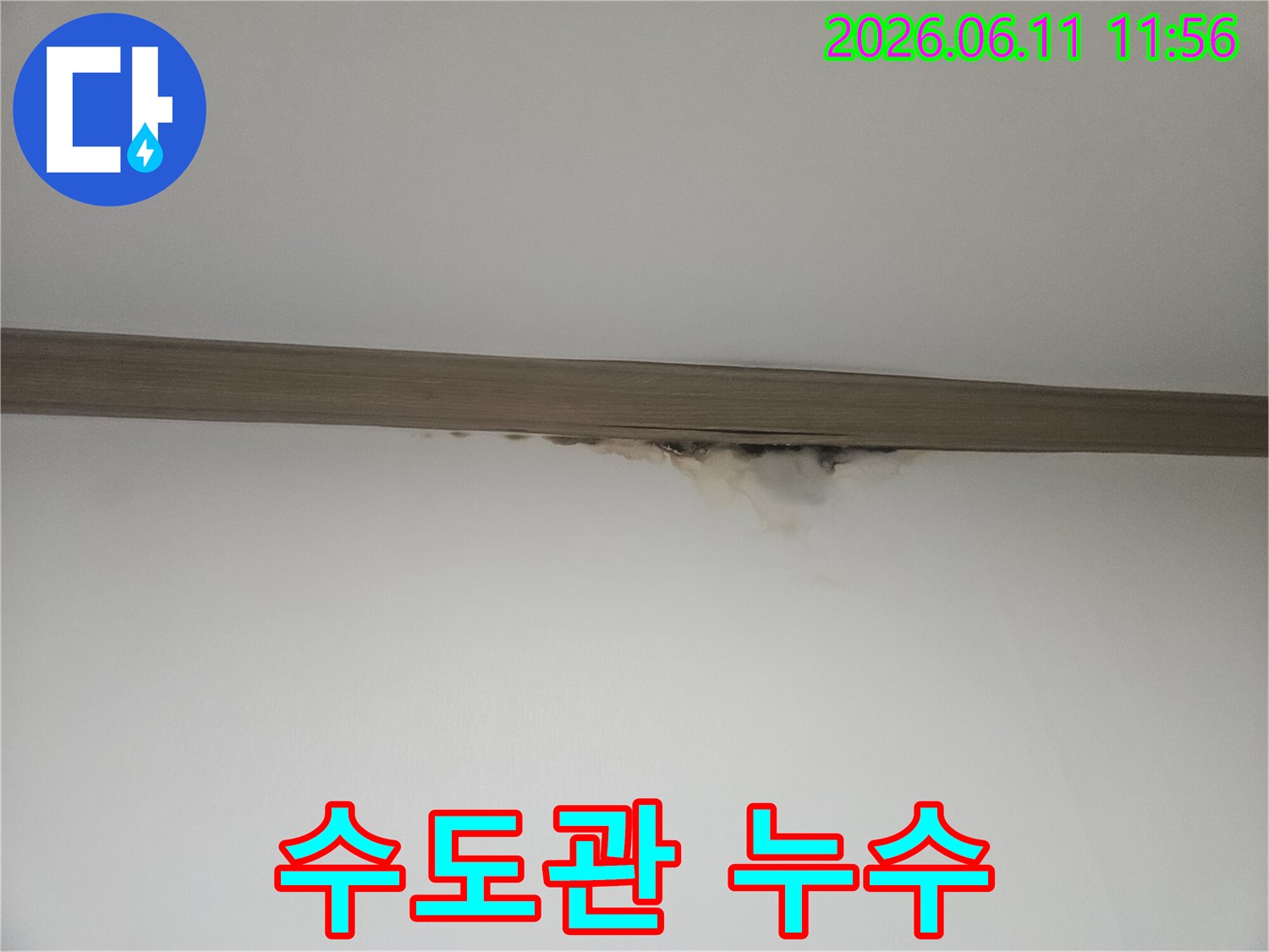 천장 몰딩 하단에-누수로 인한 물얼룩과-곰팡이가 발생하여-수도관 누수가 의심되는 현장