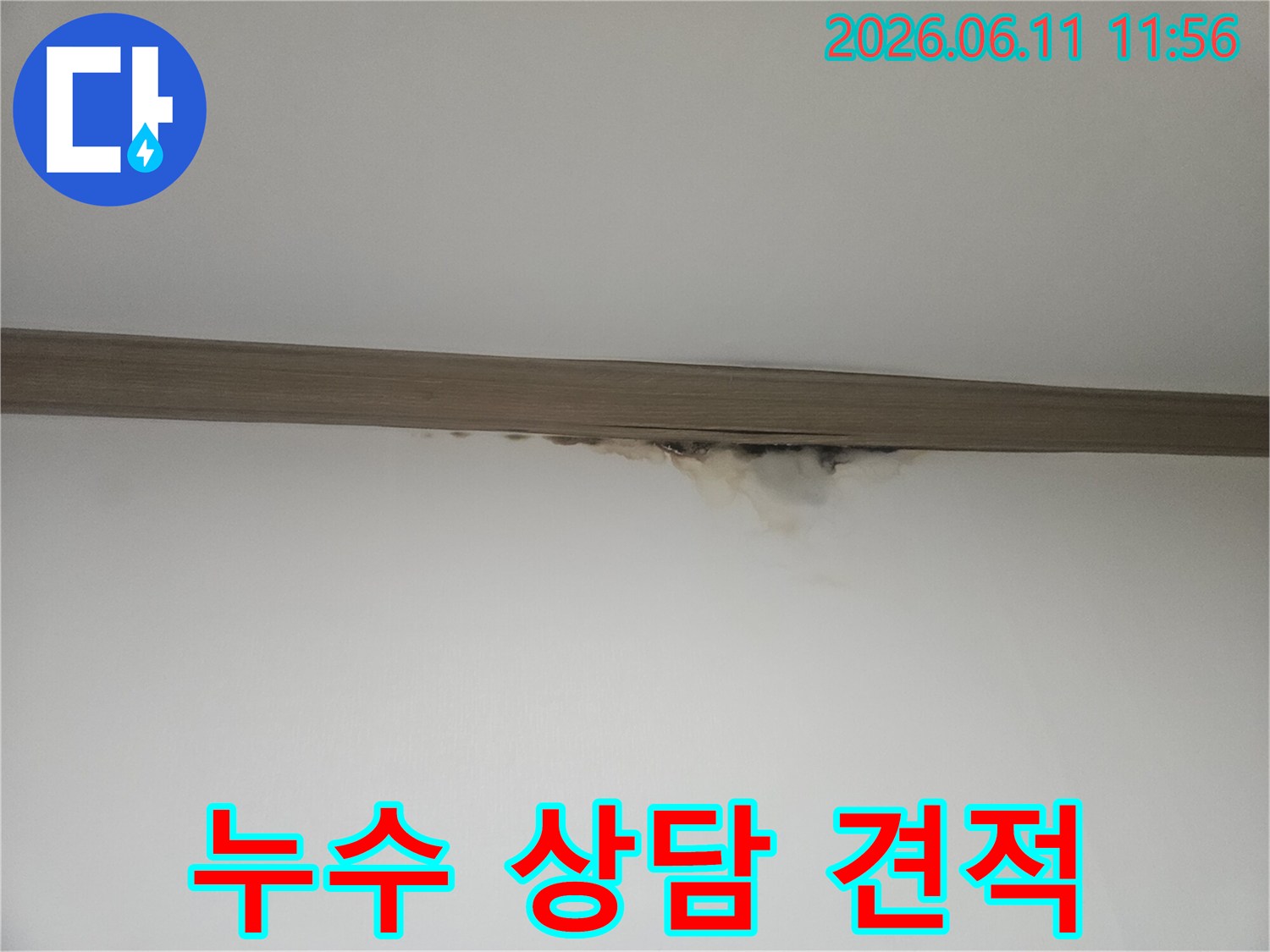 천장과 벽의 경계에-누수로 인한 물자국과-곰팡이가 발생하여-전문가 상담이 필요한 현장