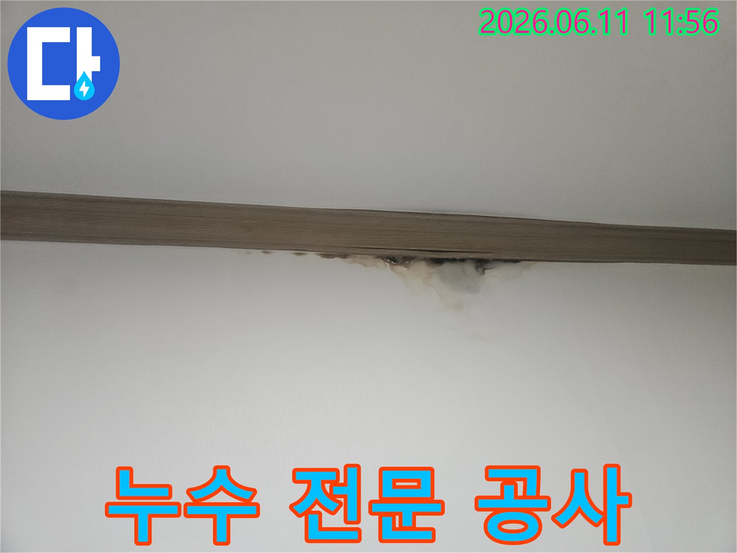 천장과 벽의 경계에-누수로 인한 물자국과-곰팡이가 발생하여-전문가의 진단이 필요한 현장