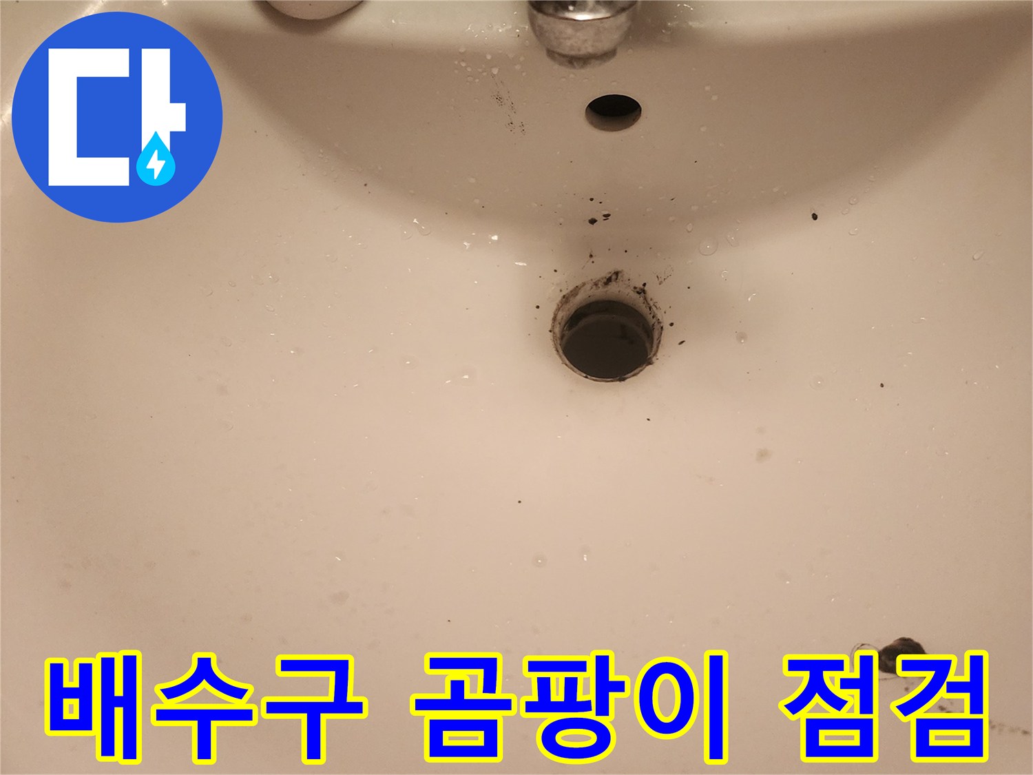 영등포구-문래동-욕실-배수구-주변-곰팡이-누수-점검-사진