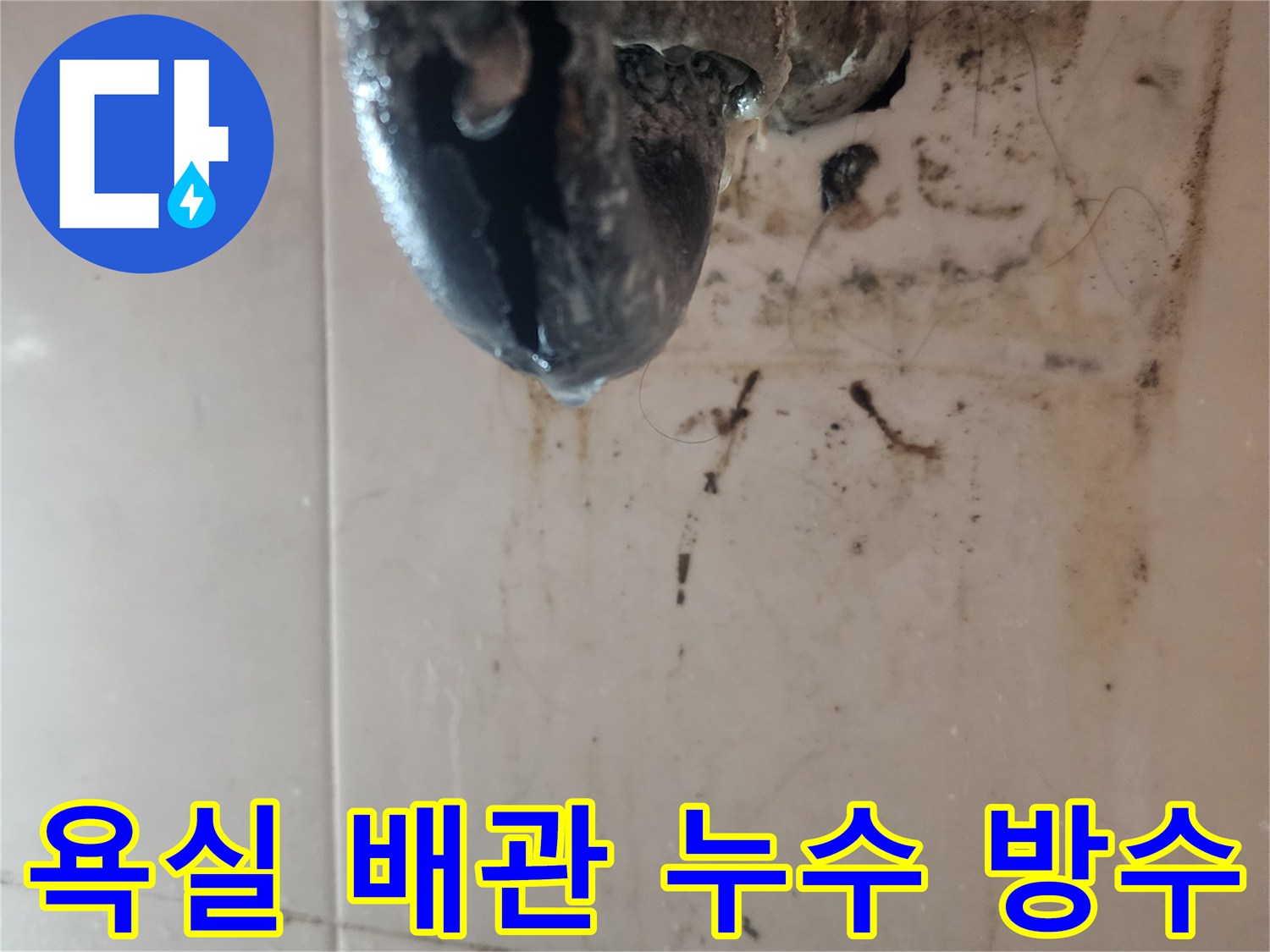 욕실-배관에서-발생한-누수로-인해-생긴-곰팡이와-오염을-보여주는-현장-사진입니다