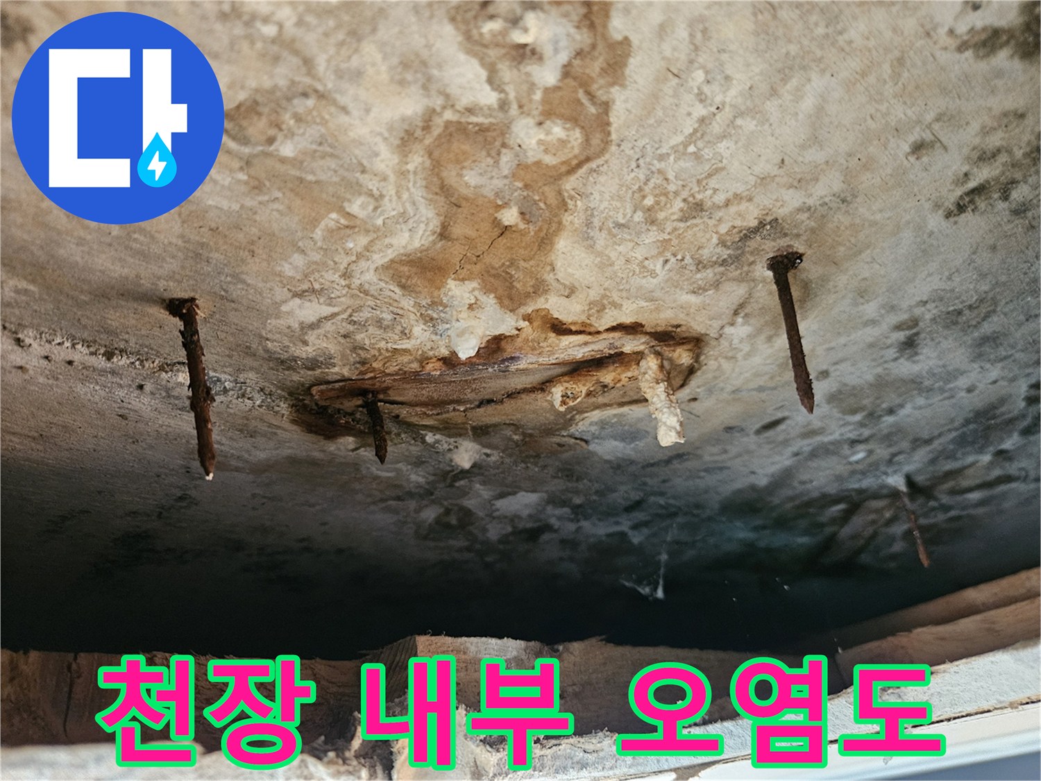 습기가 침투한-천장 마감재와 배관 주변 상황