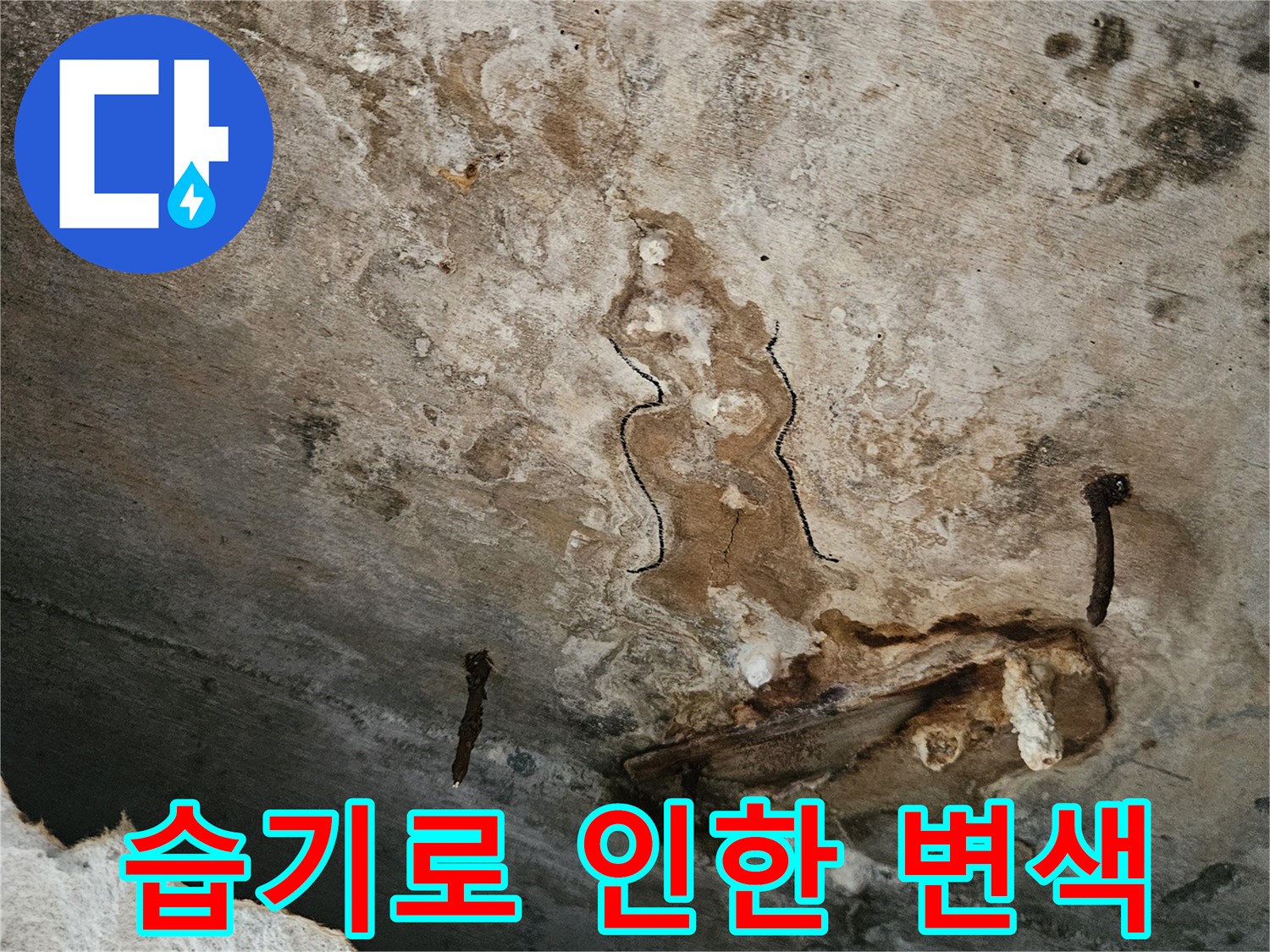 천장 마감재의 습기 침투 및 곰팡이 번식 상태
