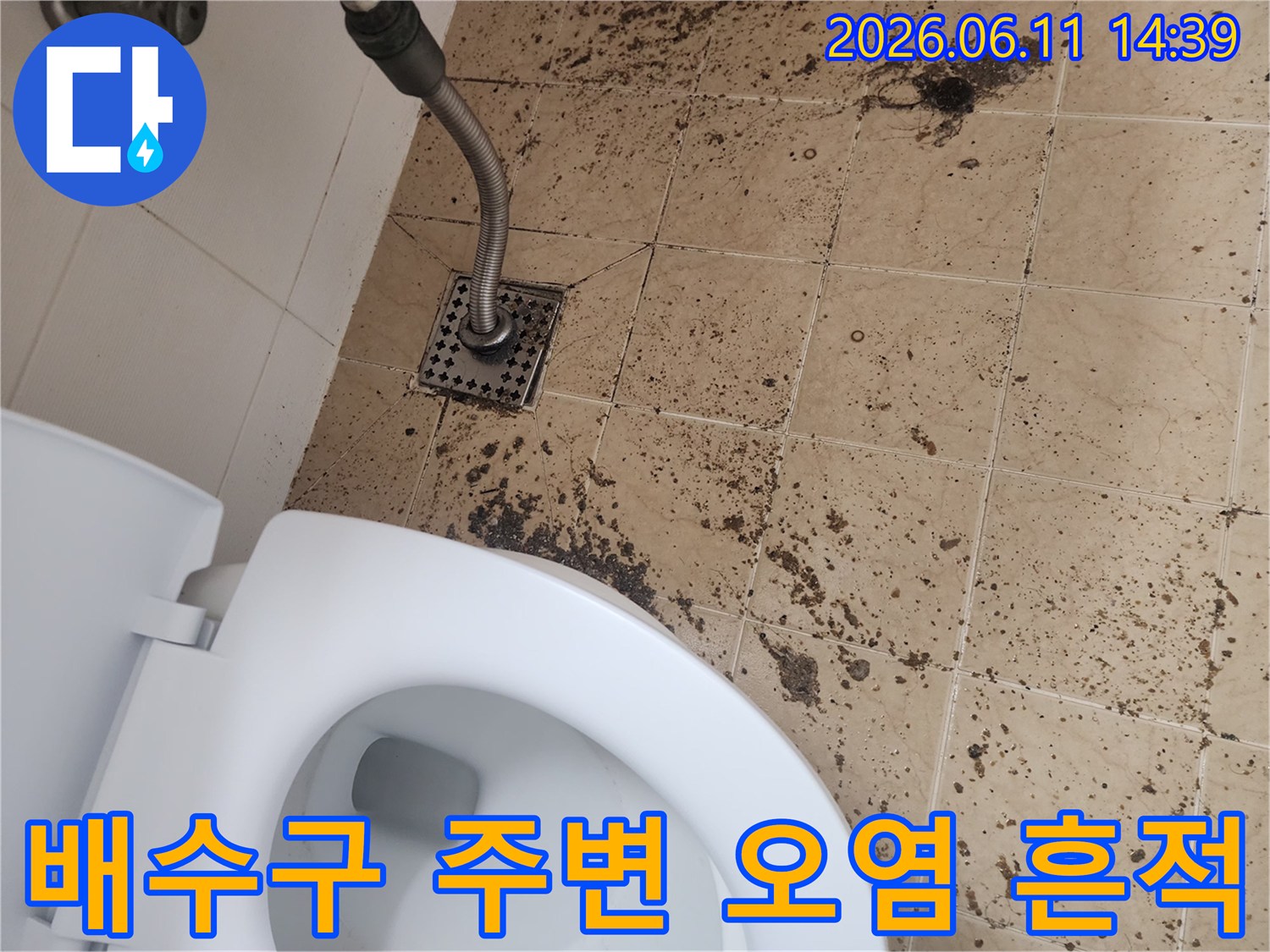 남양주 금곡동 화장실 배수구 주변에 발생한 검은색 역류 오염 흔적