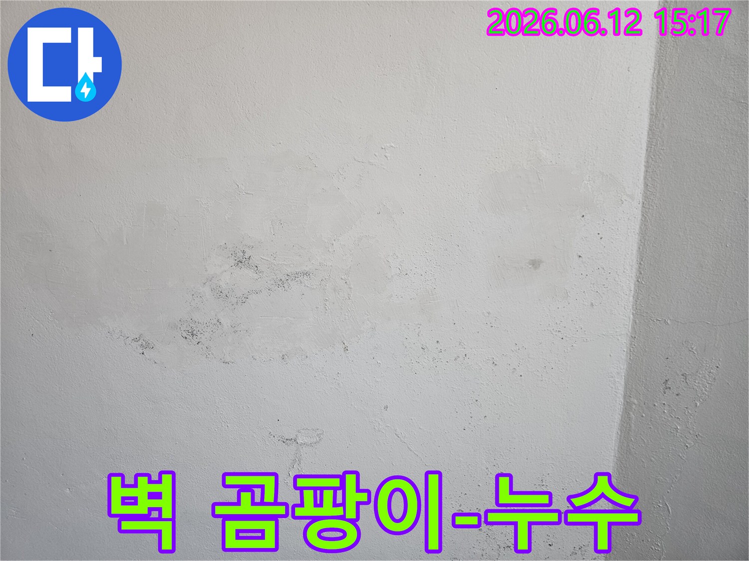 벽면에 광범위하게 퍼진 곰팡이와-누수 흔적을 보여주며-즉각적인 조치가 필요함을 강조합니다
