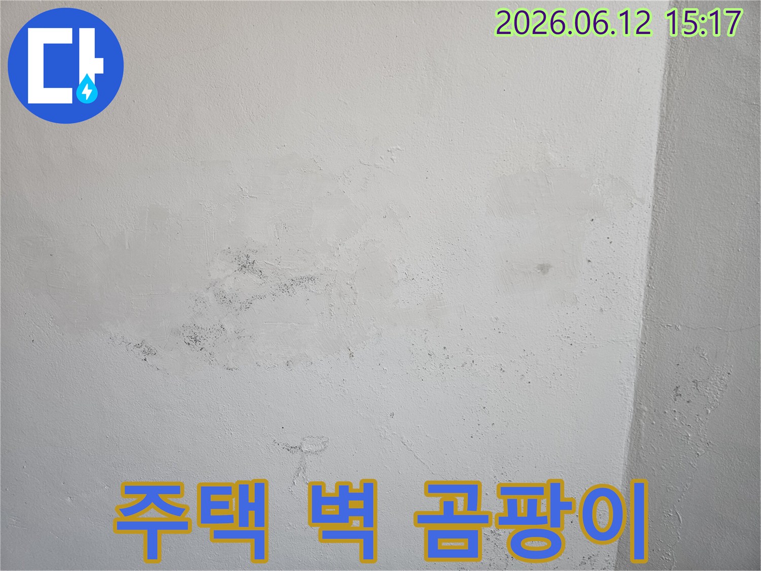 주택 벽면에 발생한 광범위한 물 얼룩과-곰팡이 흔적을 보여주며-누수 문제의 심각성을 나타냅니다