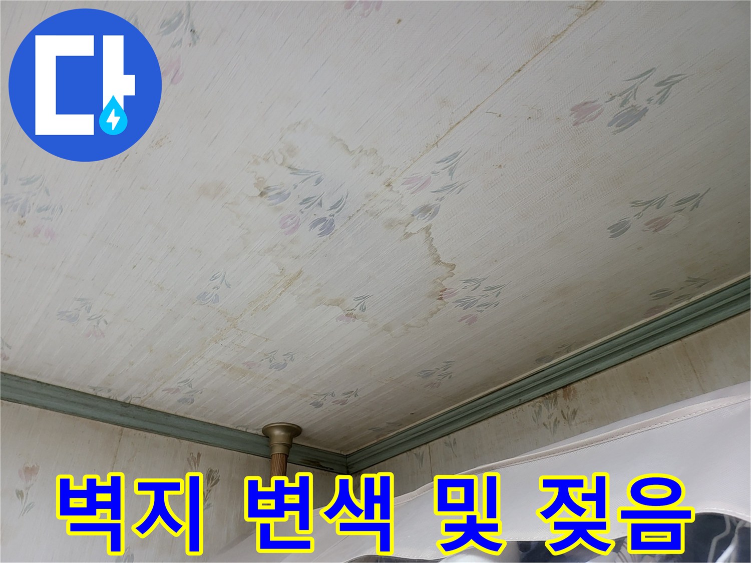 누수로 인해 얼룩진 천장 벽지의 오염 상태 상세 사진