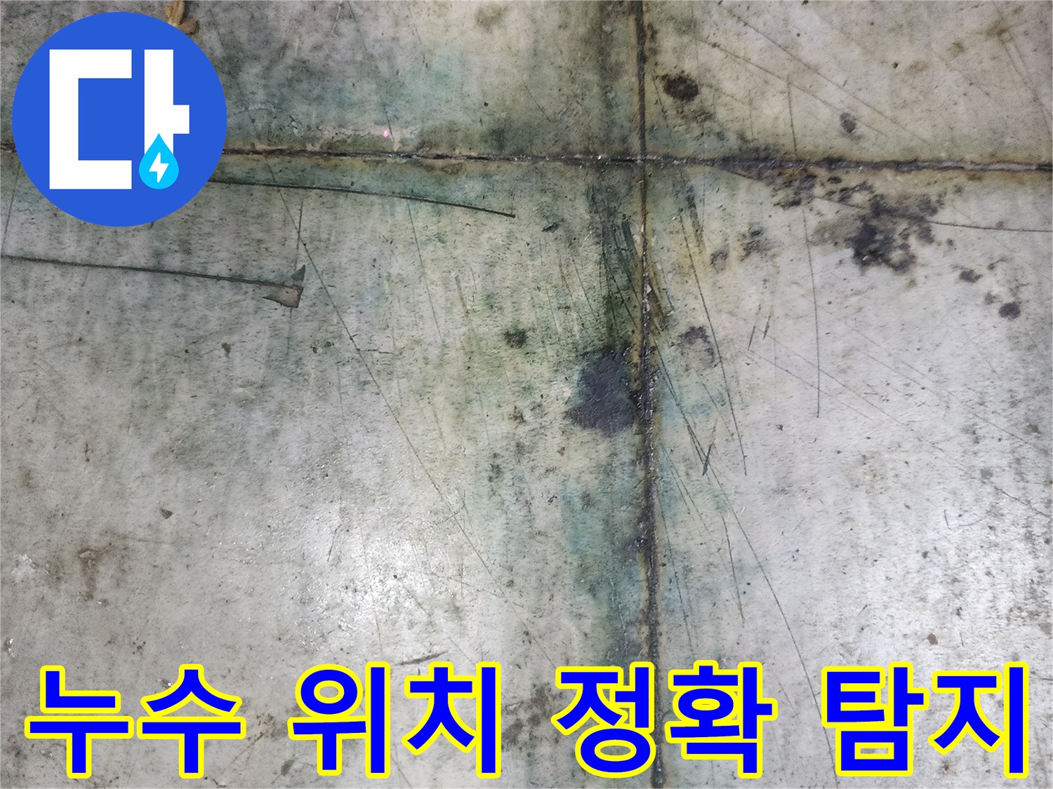 반찬가게 바닥의 누수 위치를-정확하게 탐지하기 위한-전문가의 현장 활동