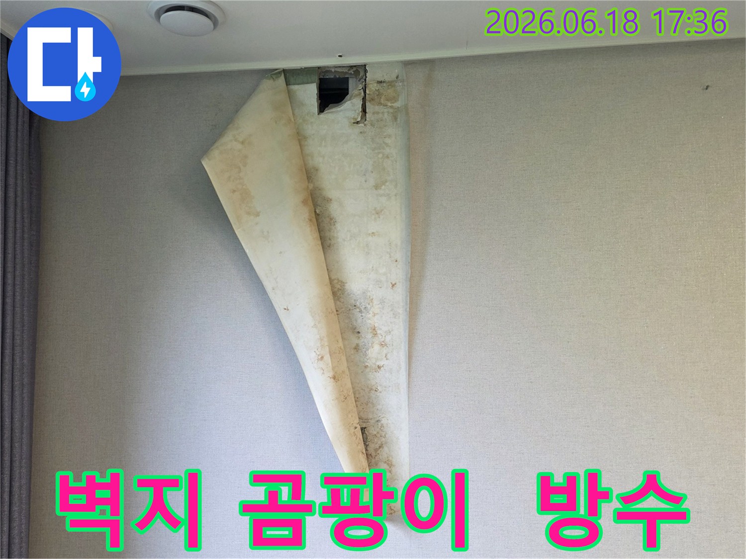 누수로 인해 벽지 안쪽에 검은 곰팡이가 심하게 번식한 현장 사진으로-방수 작업이 시급함을 보여줌